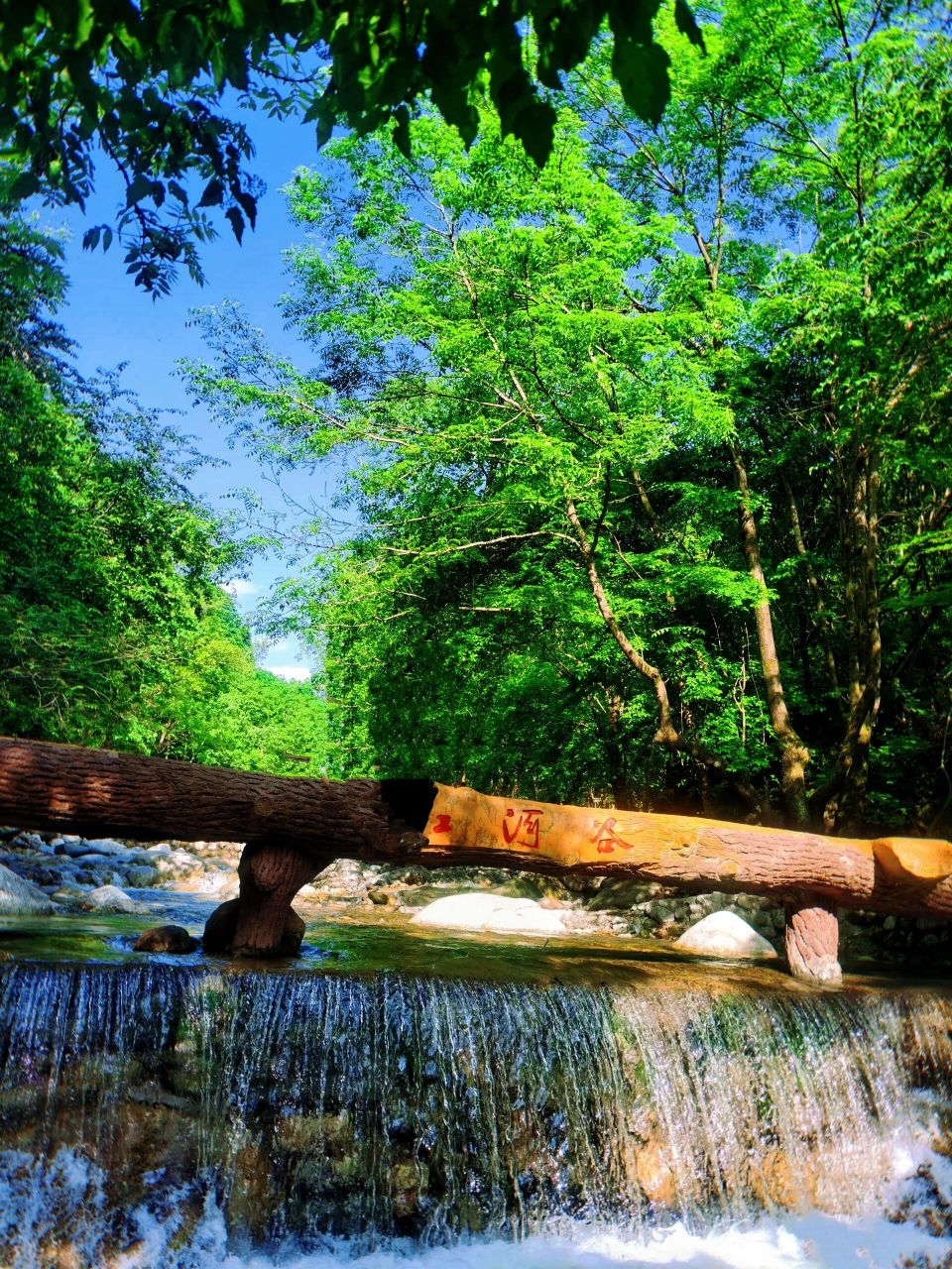 西安周边避暑拍照圣地,红河谷旅游最全攻略 红河谷森林公园位于陕西宝