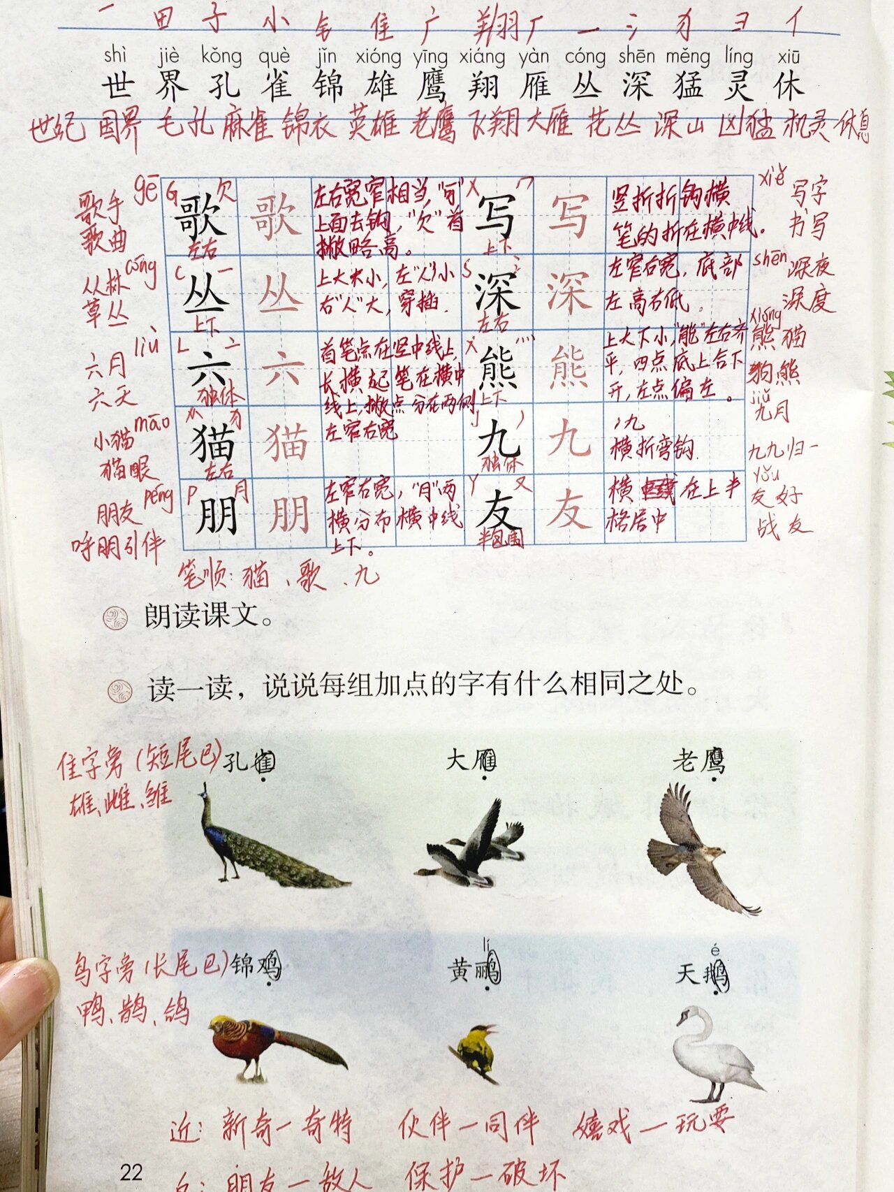 认识"世,界"等14个生字,会写"歌,写"等10个字,了解"隹,鸟"偏旁表示的