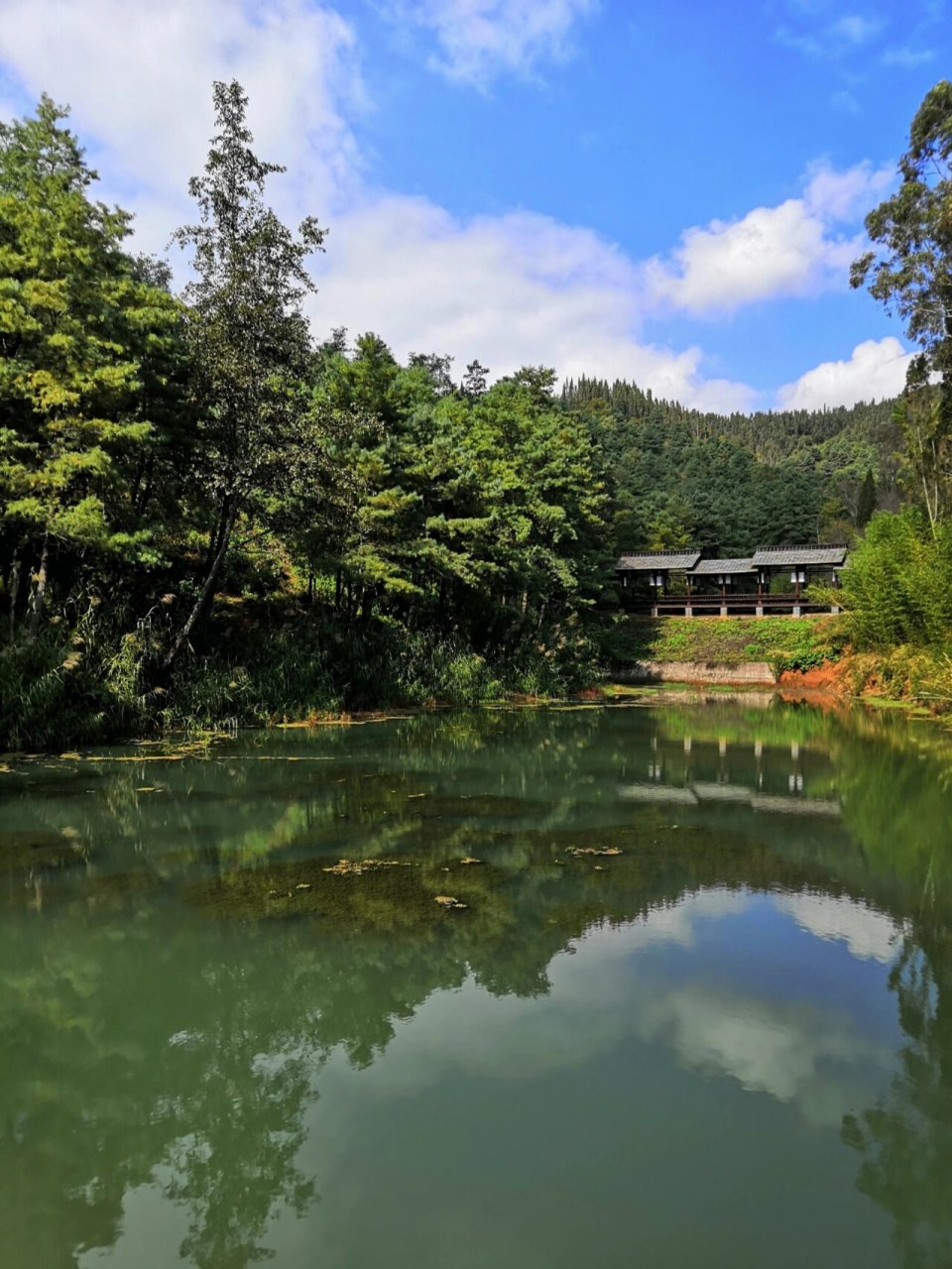 昆明海口林场森林公园第一辑 #周末去哪儿# #治愈系风景# #发呆##周