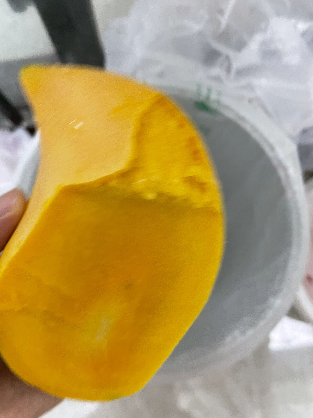 鹰嘴芒真难吃!长得人模狗样的一嘴油漆味!惨