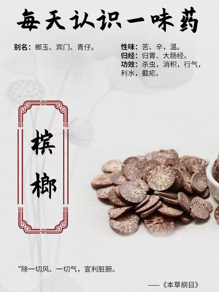 láng 92别名:大白,大腹子,榔片,大白槟,大腹槟榔 97药用部位