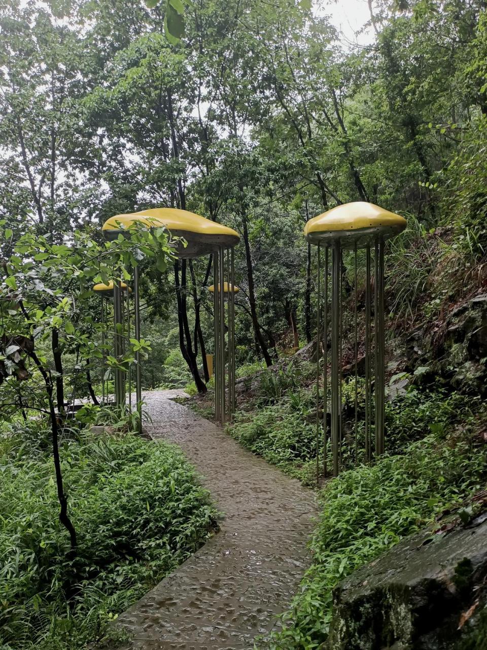 周末爬山,重庆南山雨中慢摇.