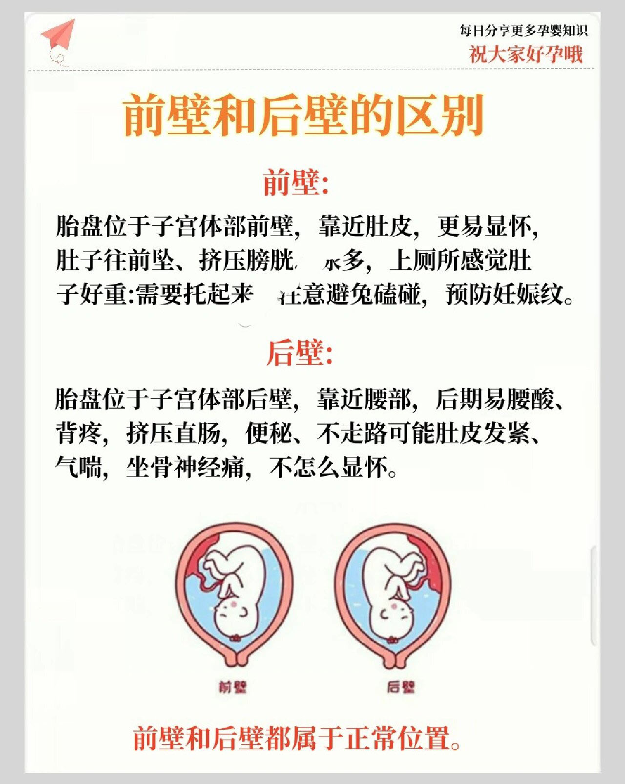 前壁和后壁的区别
