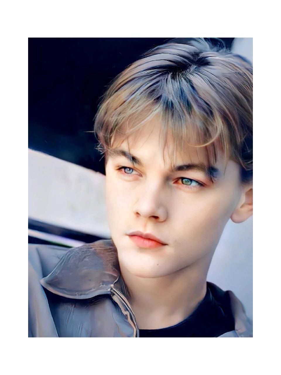 leonardo dicaprio,leonardo wilelm dicaprio 别名:leo,小李,小李子