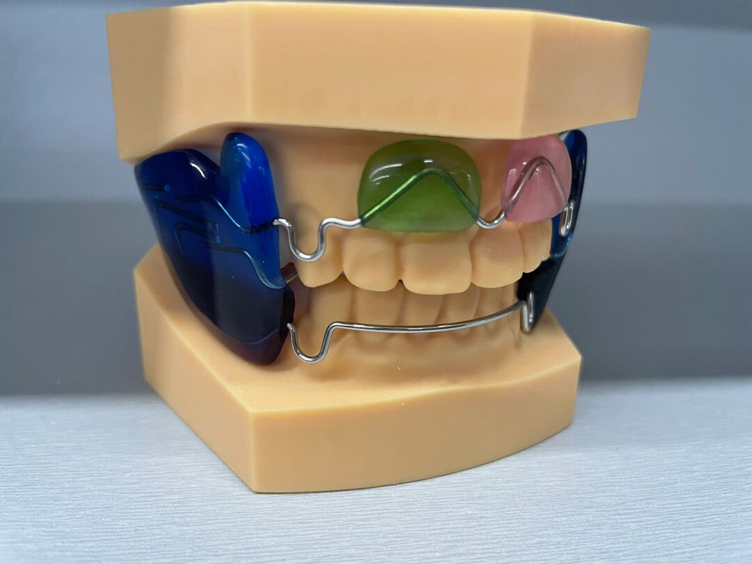 正畸矫正frankel3 法兰克3  的样板 全部的法兰克矫治器分为4种,分别