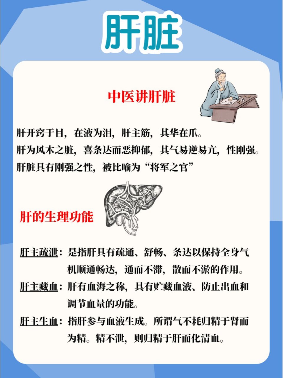 肝与五脏的关系 五脏,即心,肝,脾,肺,肾的合称 五脏的共同生理特点