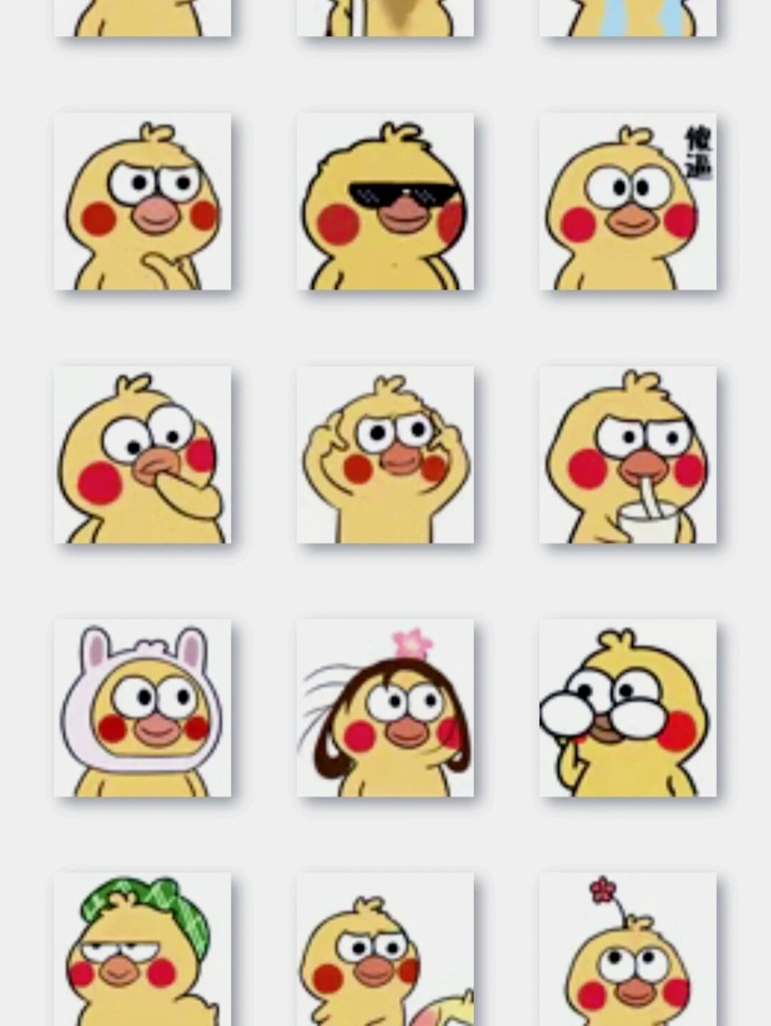 还有人没有鹦鹉兄弟表情包嘛