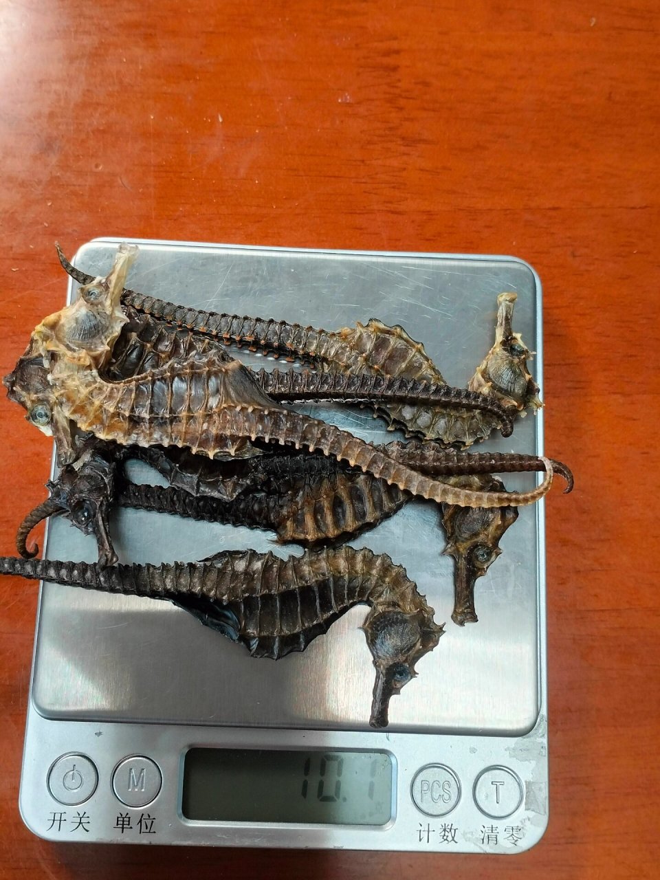 6只海马干,线纹海马,10克,客人计划泡2斤酒.