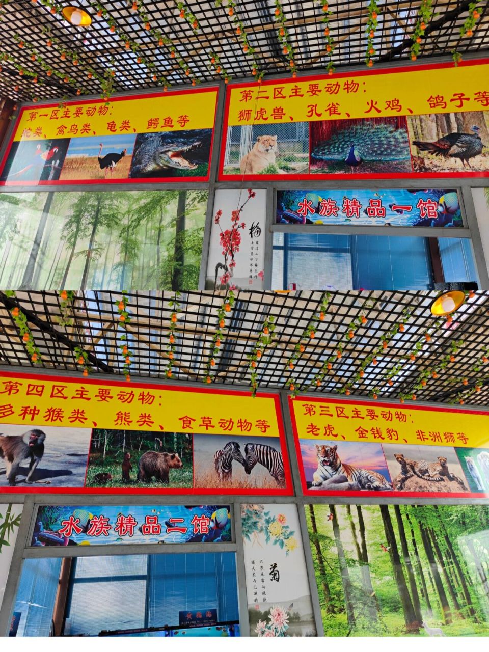 莆田遛娃——凤凰山动物园 十年来最冷的一天,娃一早起来就要求去动物