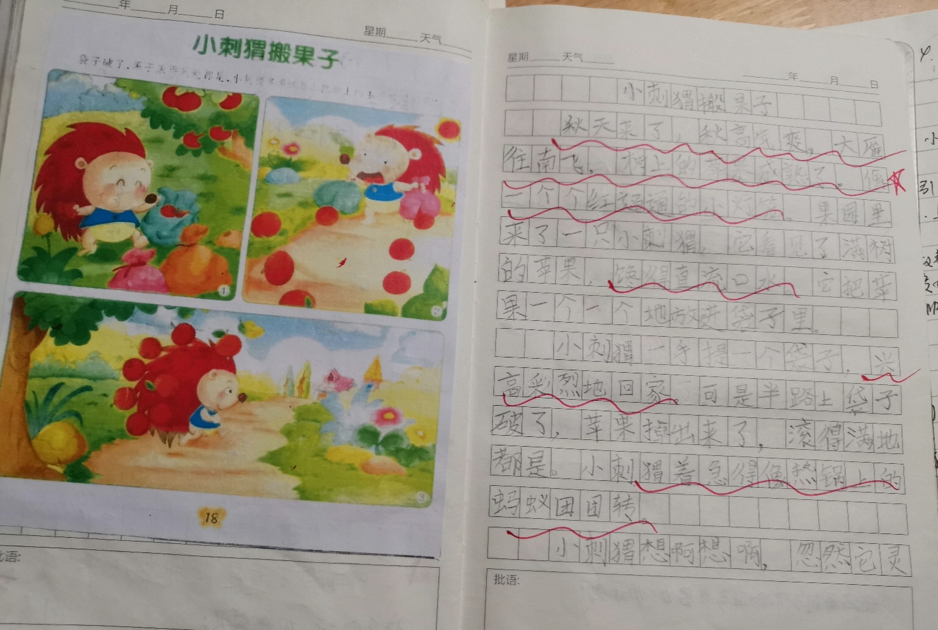 看图写话 小刺猬摘果子 瓦蓝色的天空飘着棉花糖似的云朵,金色的阳光