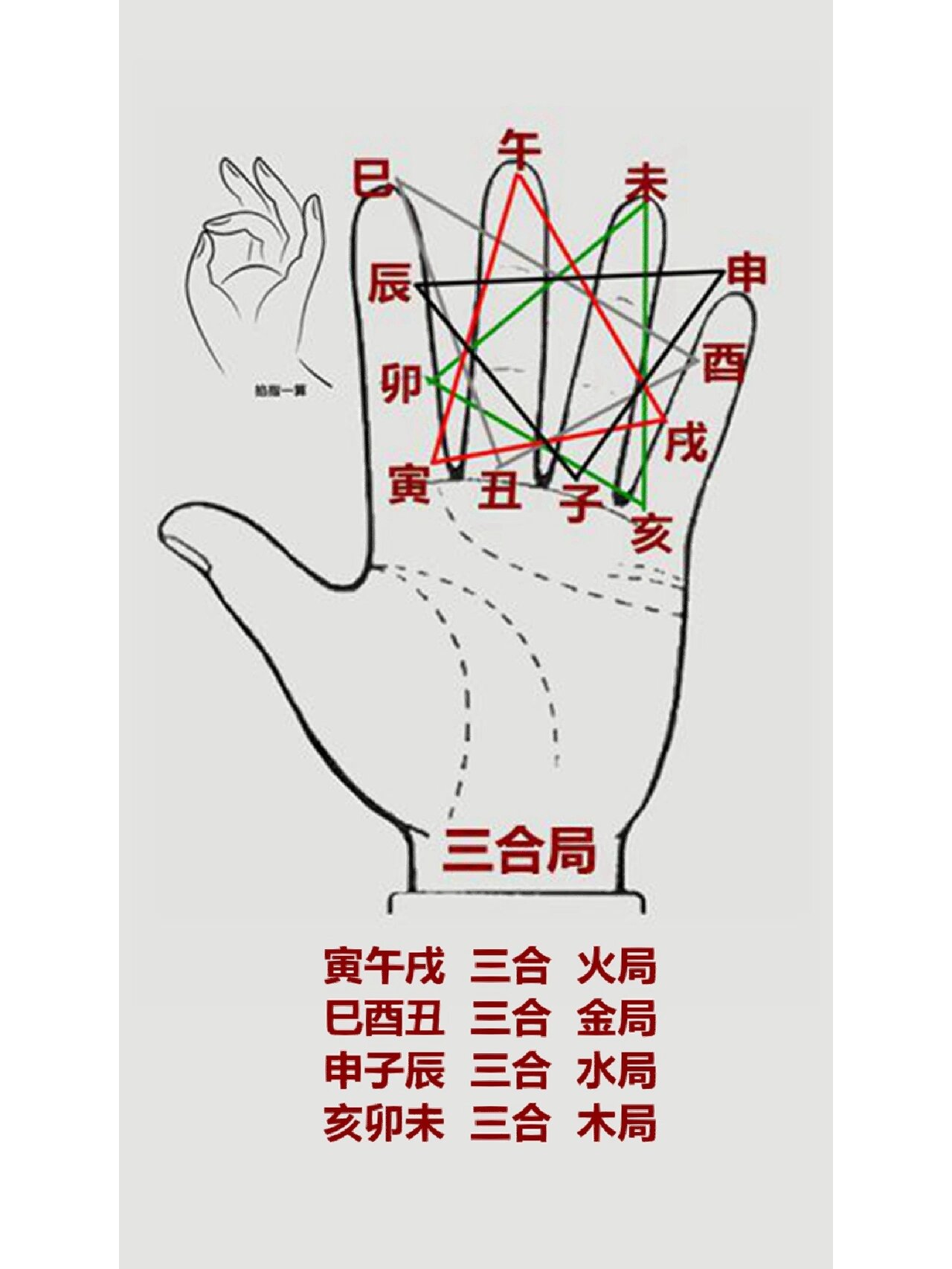 掌图学习地支关系