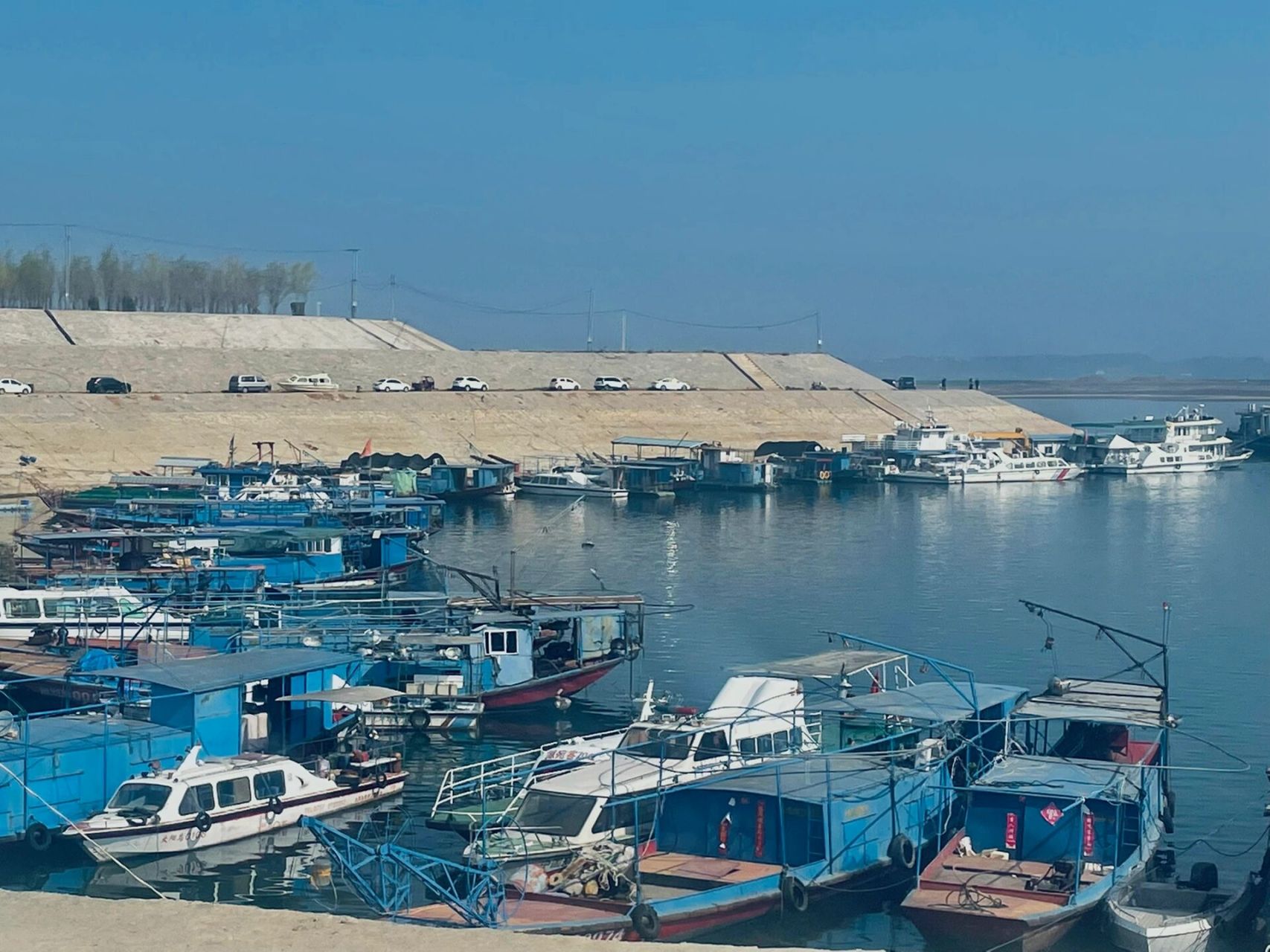 南阳美丽风景——宋岗码头 这个地方抖音最近太火了🔥都是去看海鸥