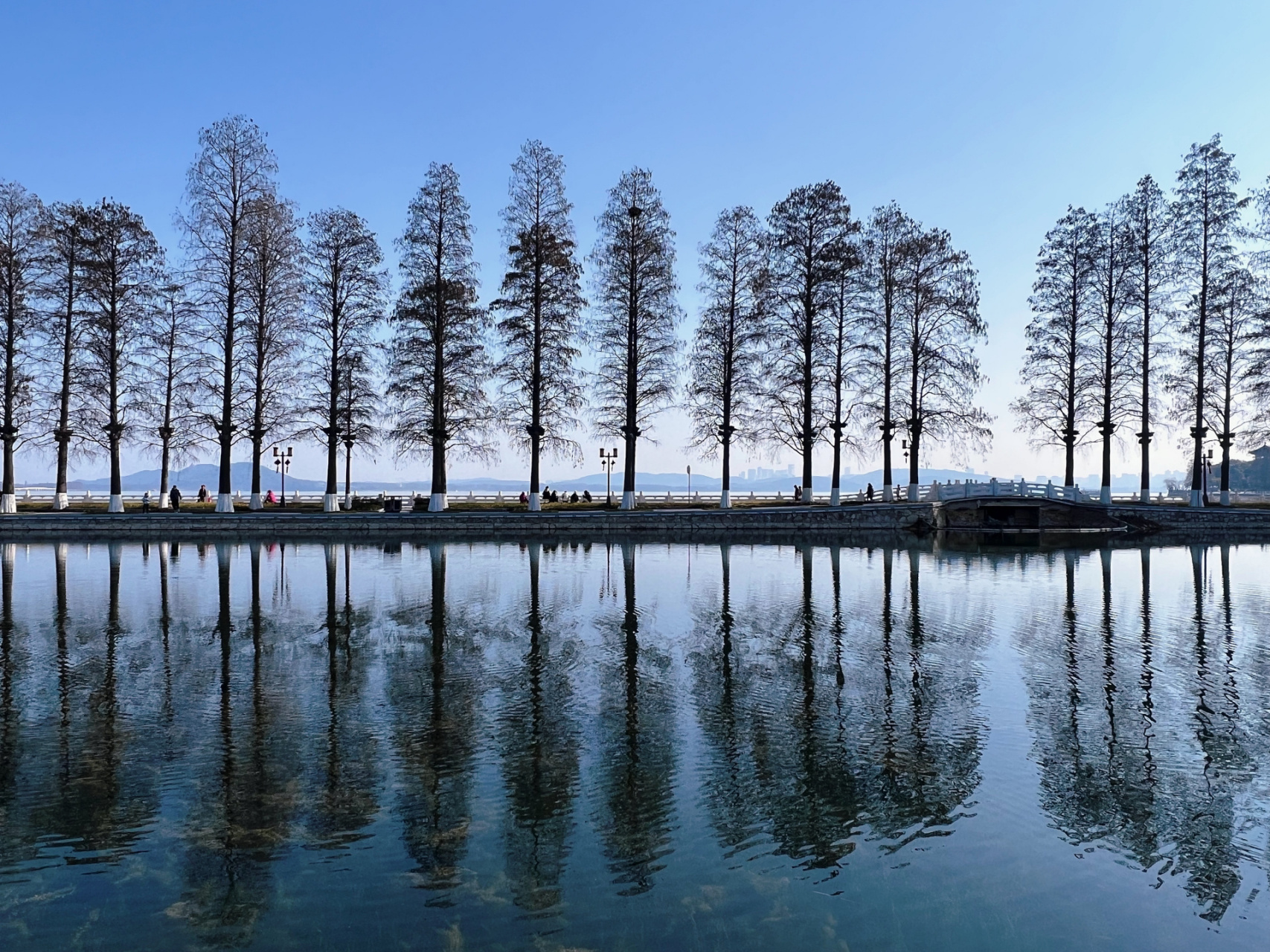 武汉东湖景点有哪些图片