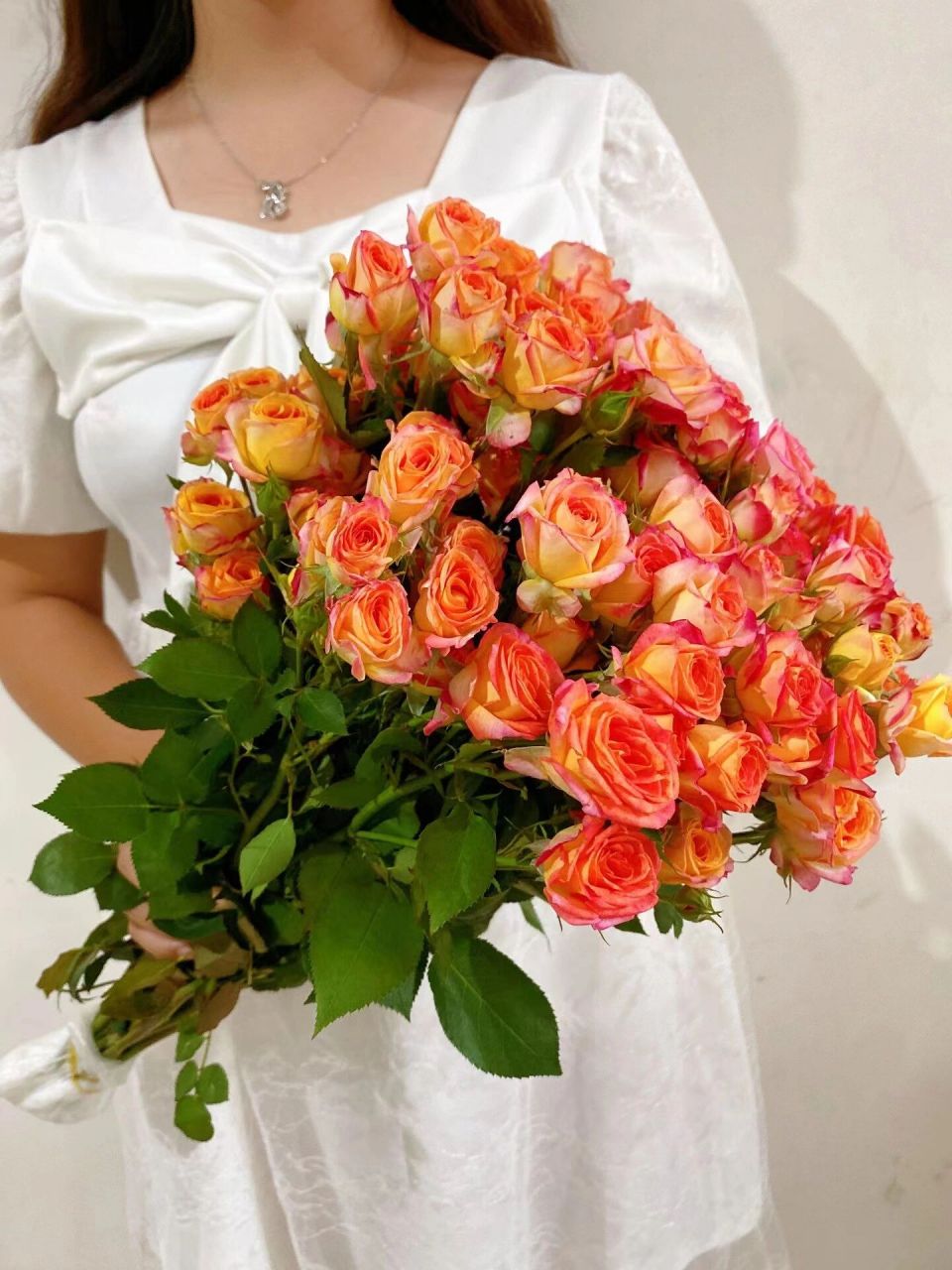 爱丽丝泡泡玫瑰花语及寓意? 1,爱丽丝泡泡花语.