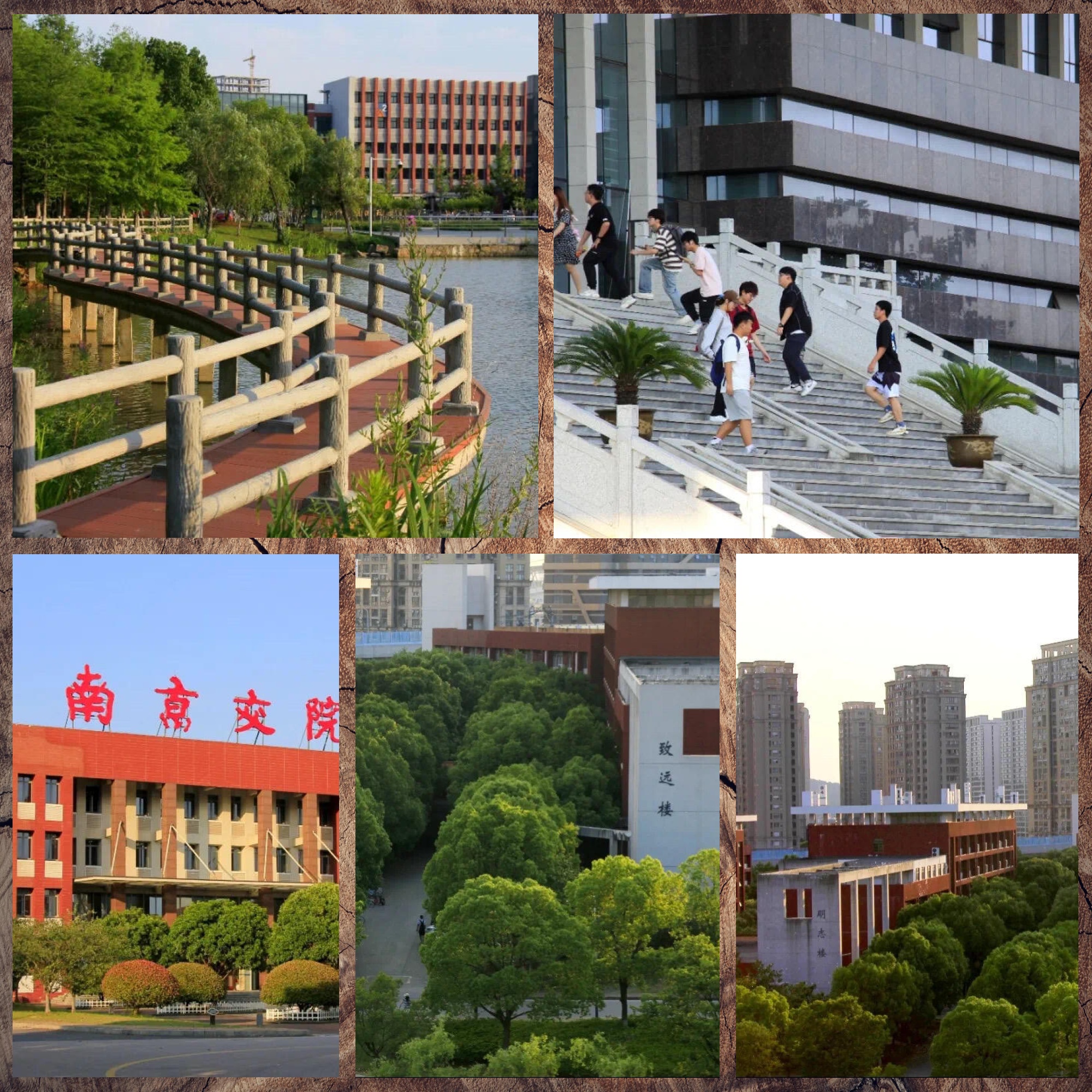 南京交院