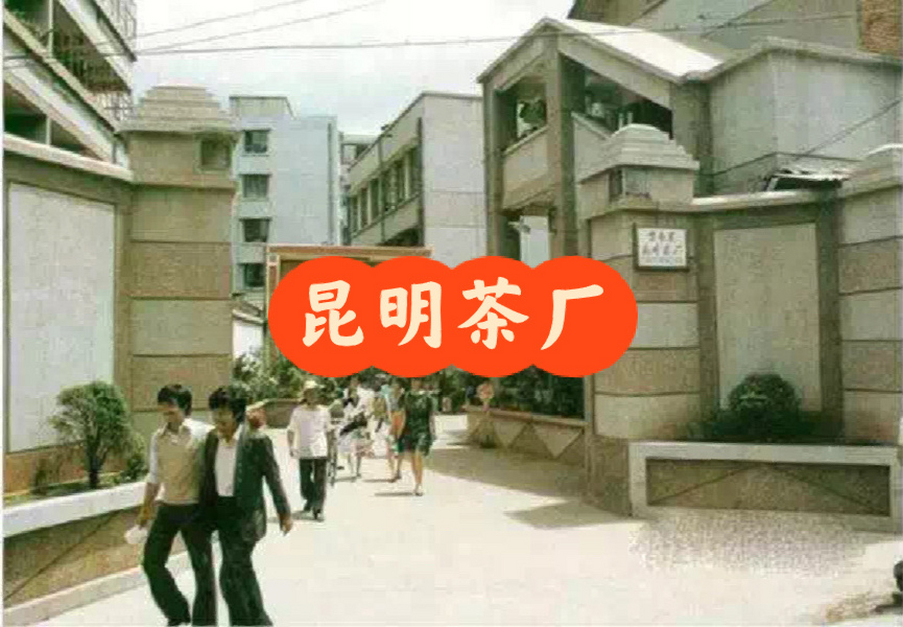 云南原国营四大茶厂之昆明茶厂   探究云南原国营四大茶厂的前世今生