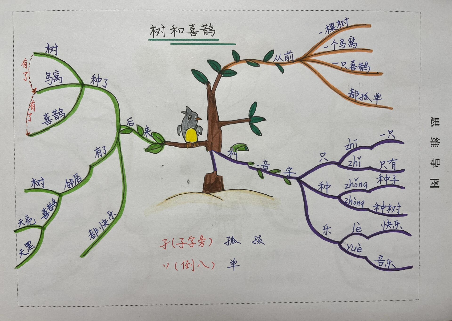 树和喜鹊思维导图图片