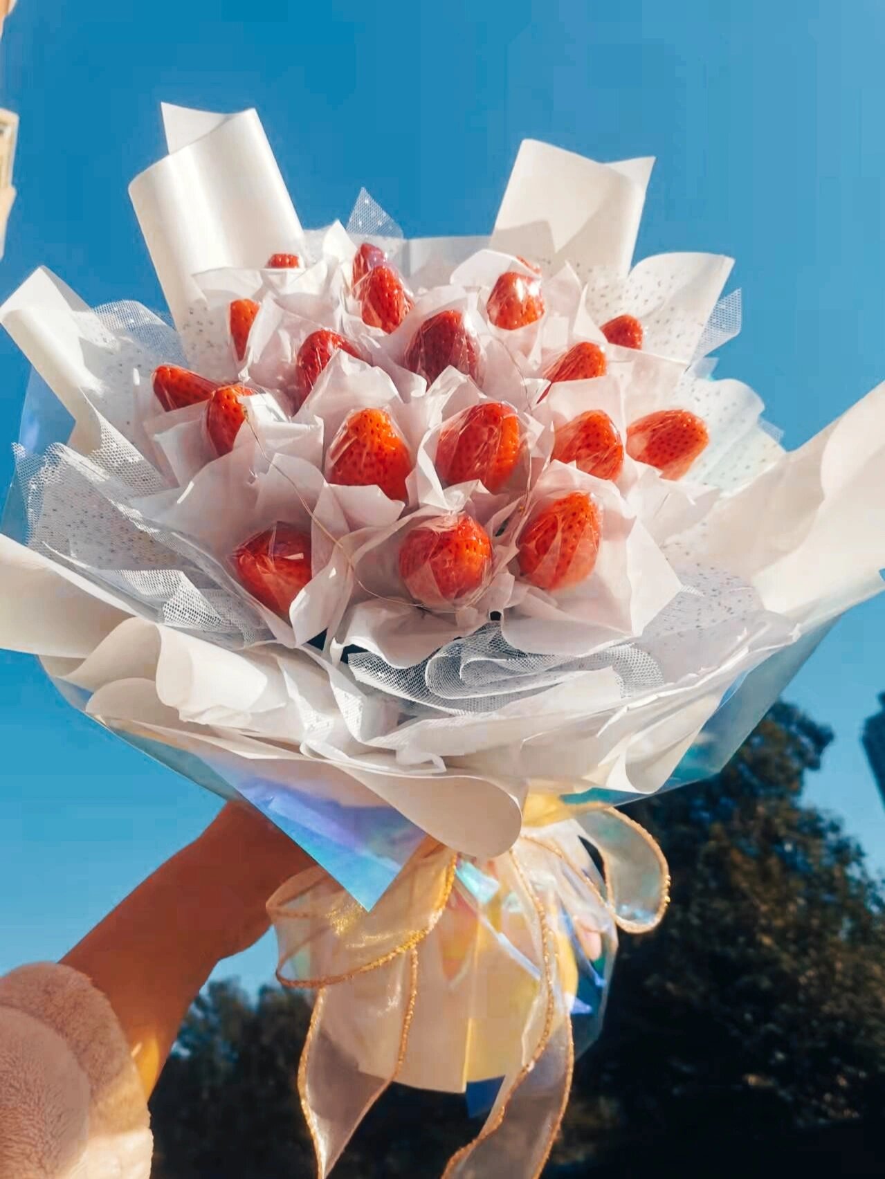 草莓花束99一束(含19颗草莓