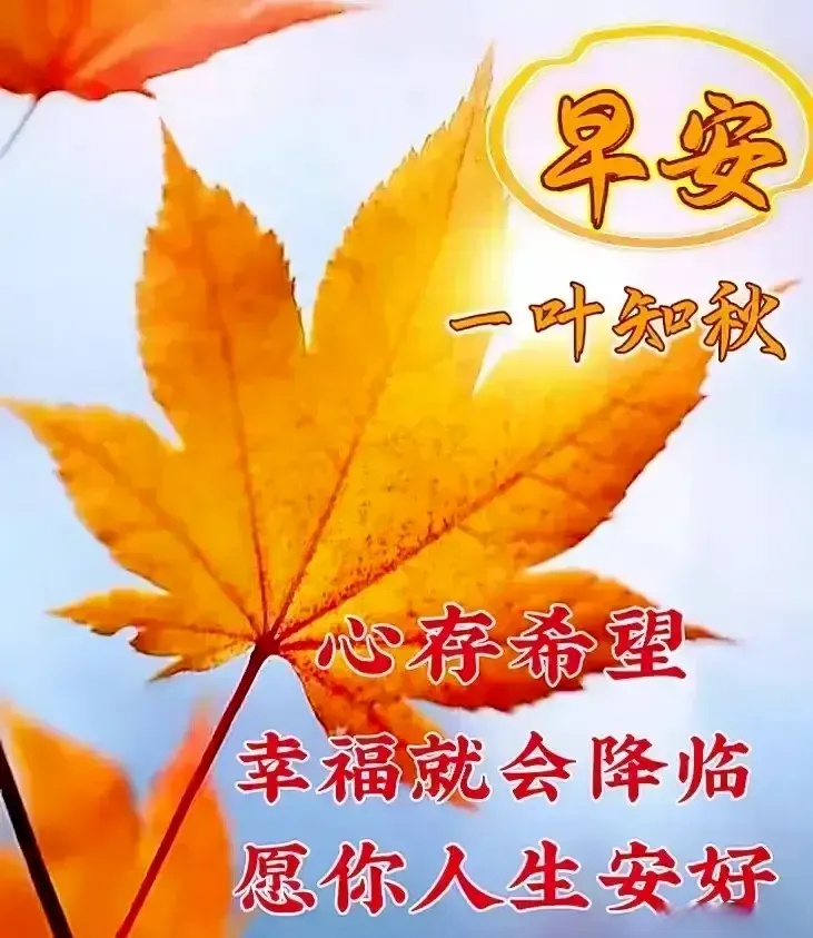 早上好!