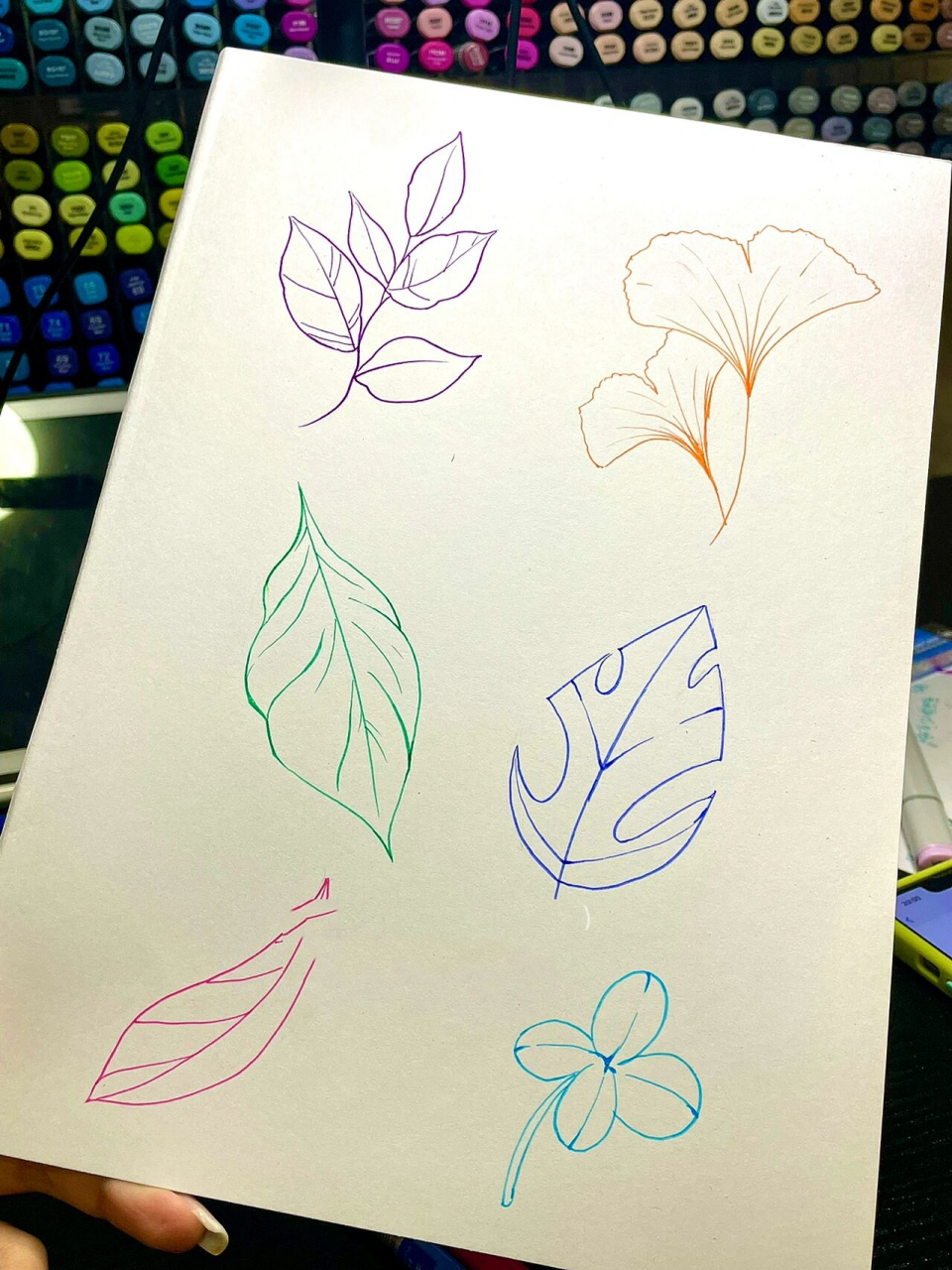 万能植物叶子素材🍃马克笔手绘配色单体塑造 万能主题系列又来更新