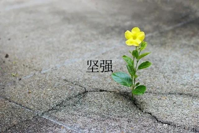 别自乱阵脚,把心态调整好,告诉自己,我要开始自救了