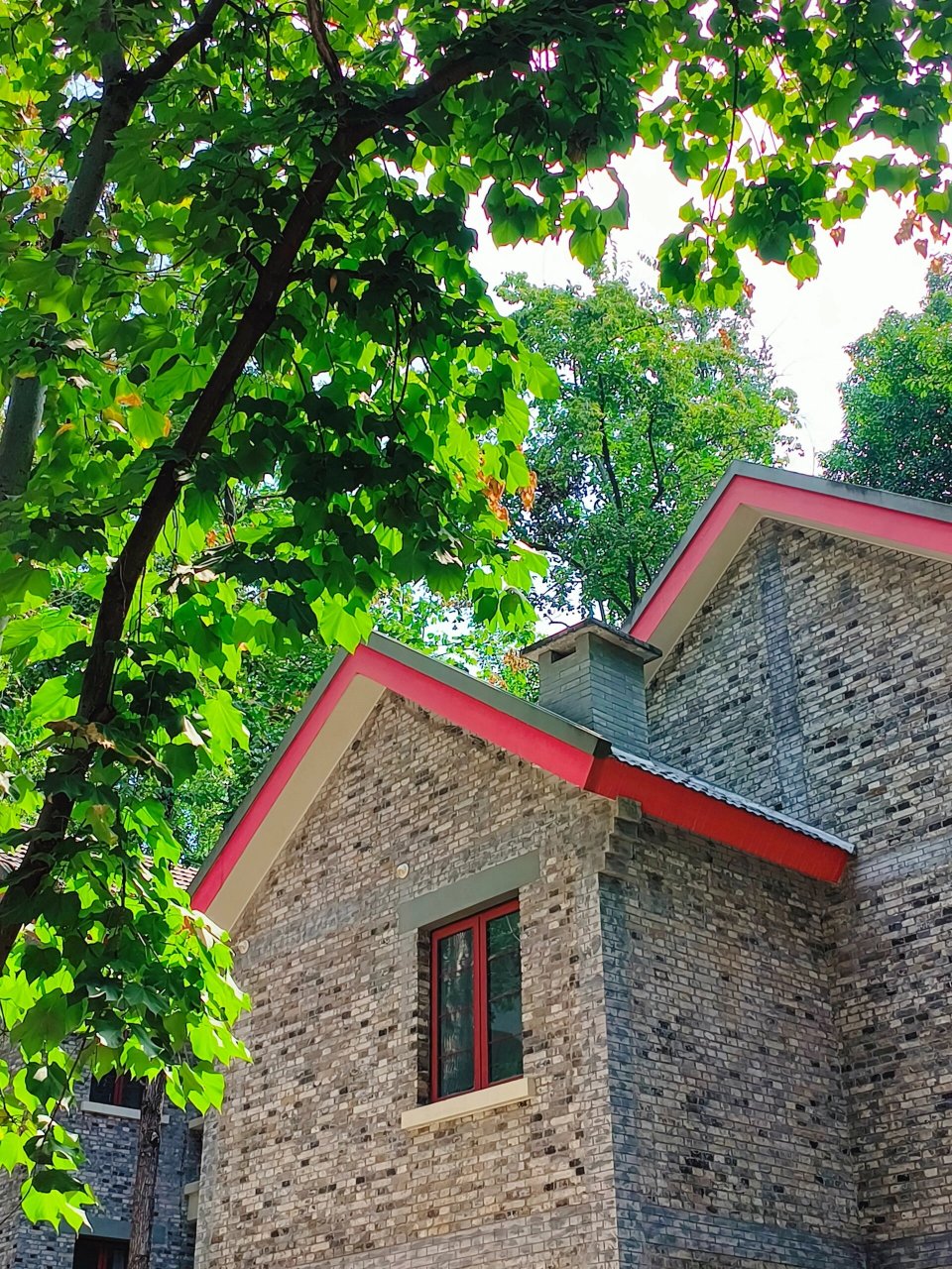 重庆大学松林坡老别墅区 谁不喜欢小时候长大的地方呢?