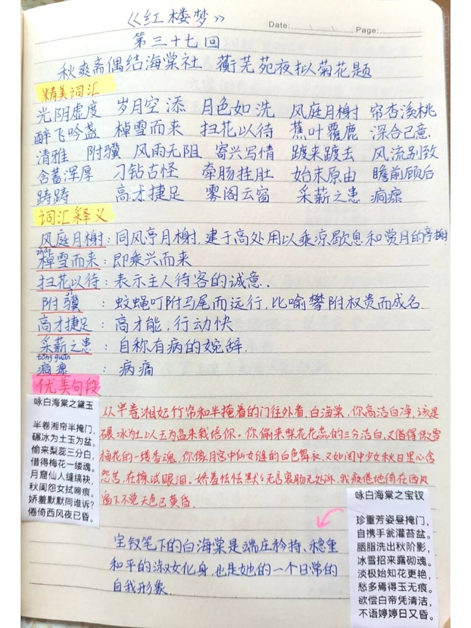 《红楼梦》第37回读书笔记 秋爽斋偶结海棠社  蘅芜苑夜拟菊花题