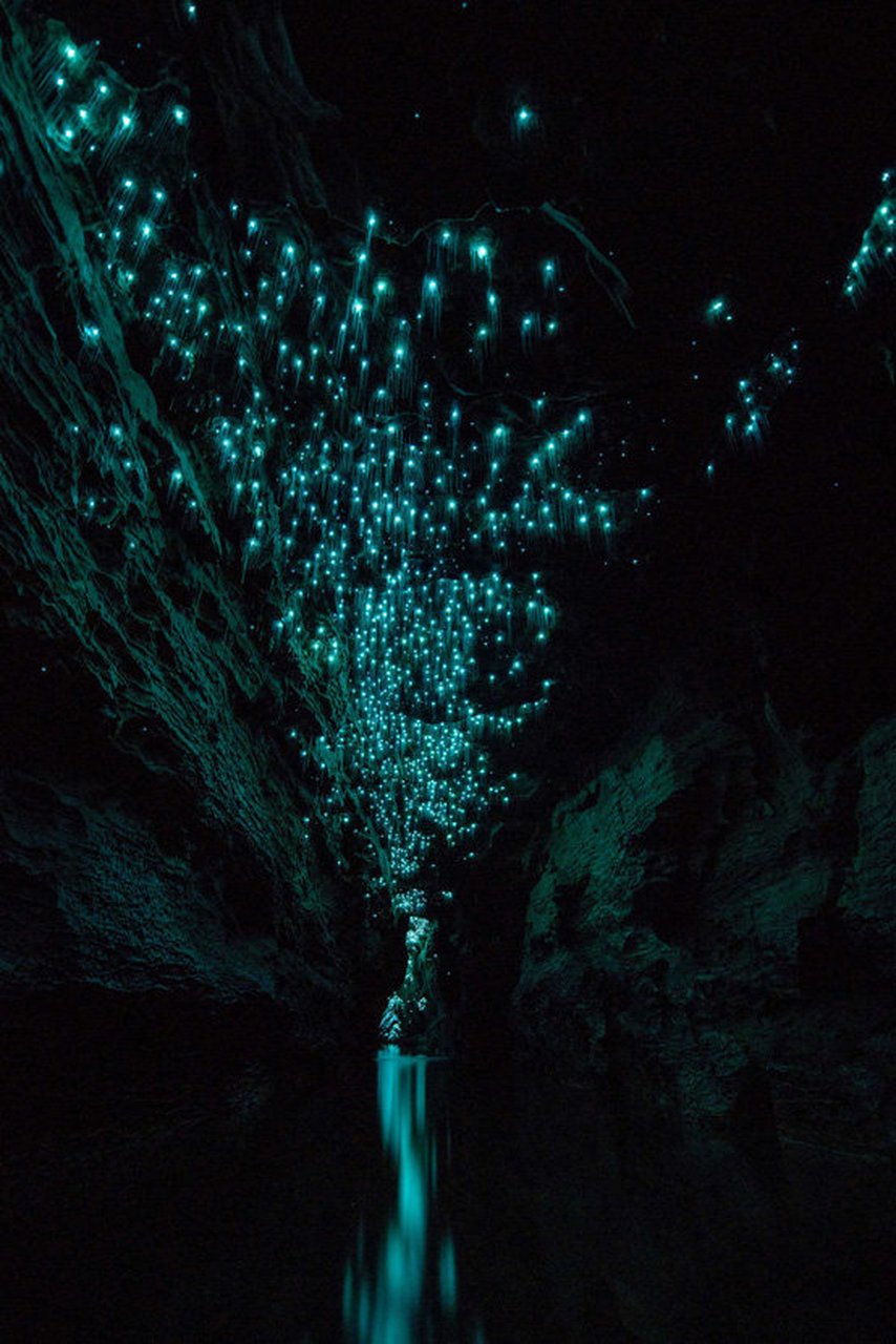 摄影师shaun jeffers在纽西兰拍摄了怀托摩萤火虫洞(waitomo caves)的