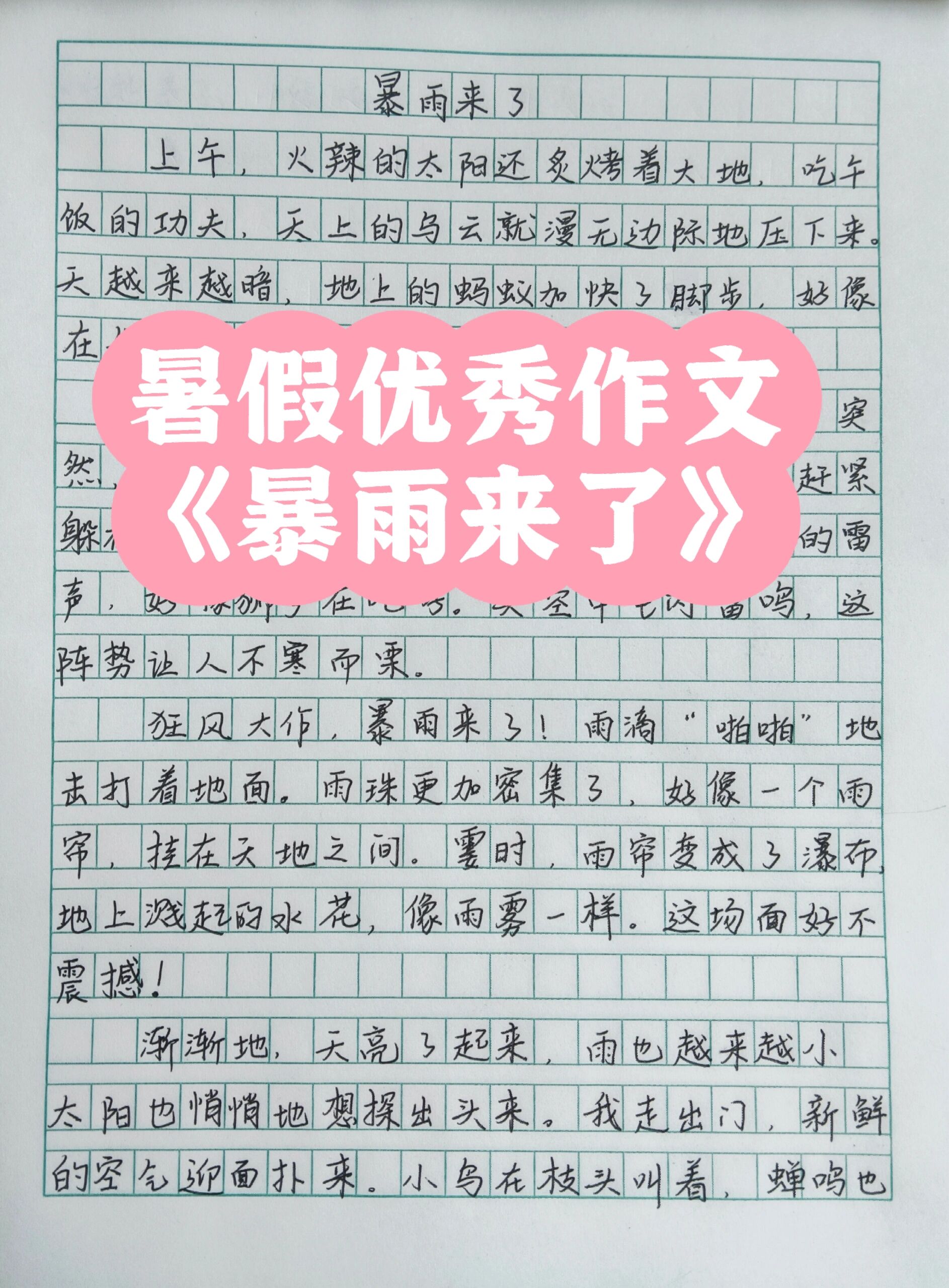 暑假优秀作文《暴雨来了》