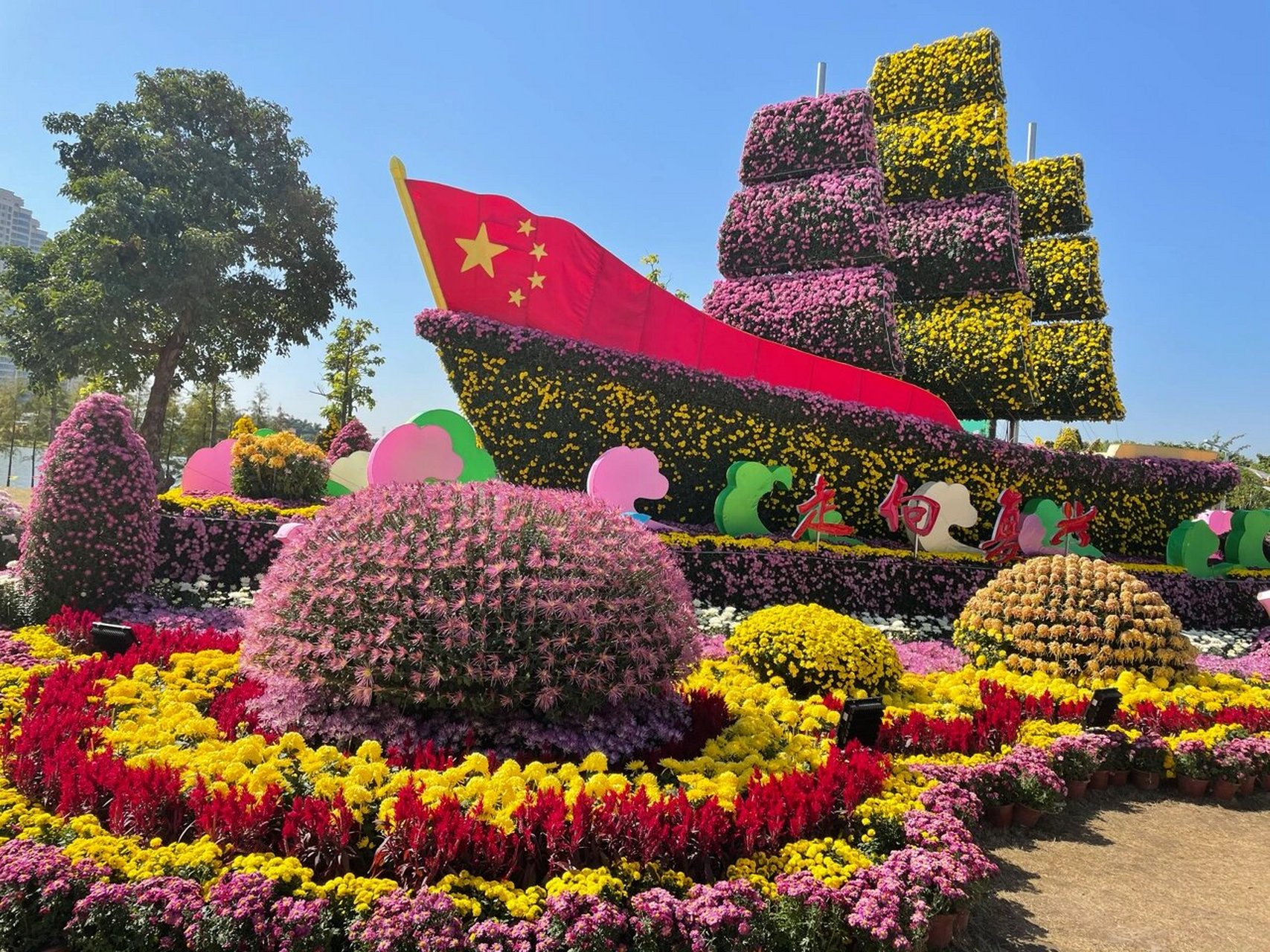 小榄菊花展的日与夜2021 一年一度的小榄菊花展又开始了 作为土生土长