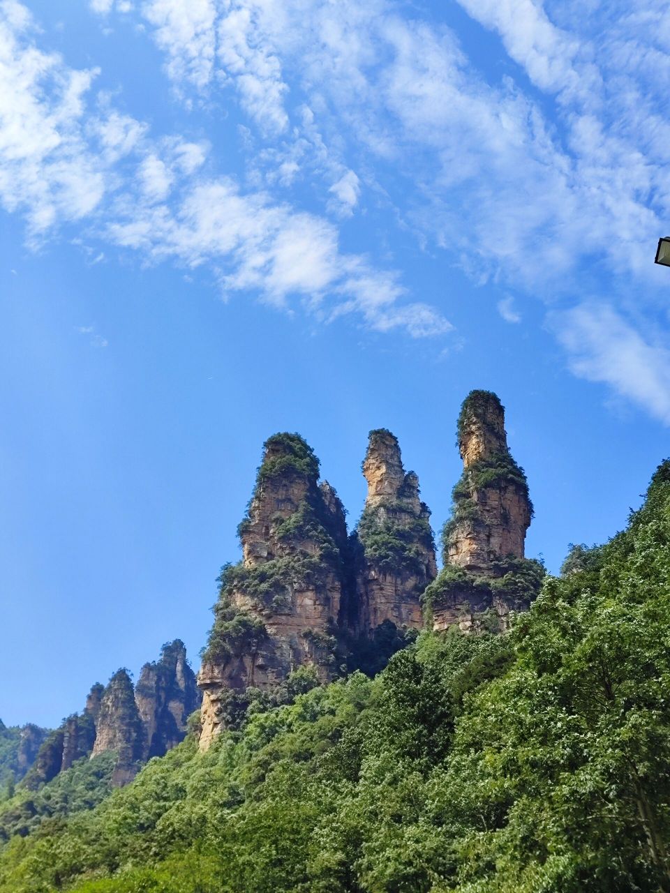 张家界国家森林公园十里画廊 十里画廊风景的确美不胜收,从东门进入