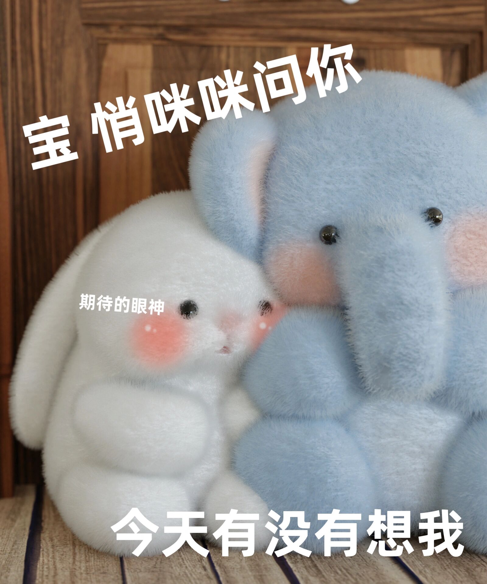 小象表情包|我宝宝怎么这么可爱