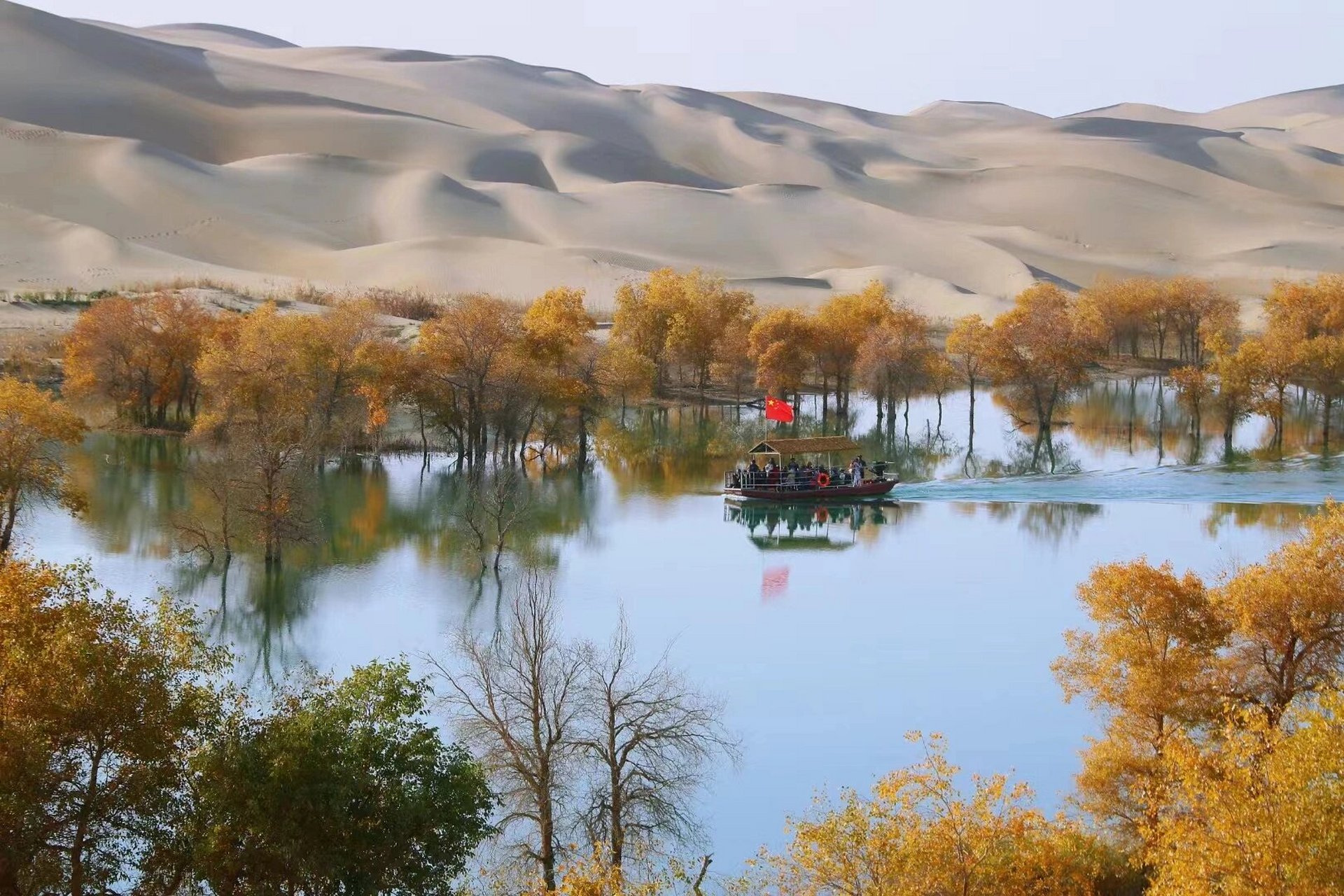 绝美葫芦岛 尉犁葫芦岛的胡杨林太美了.