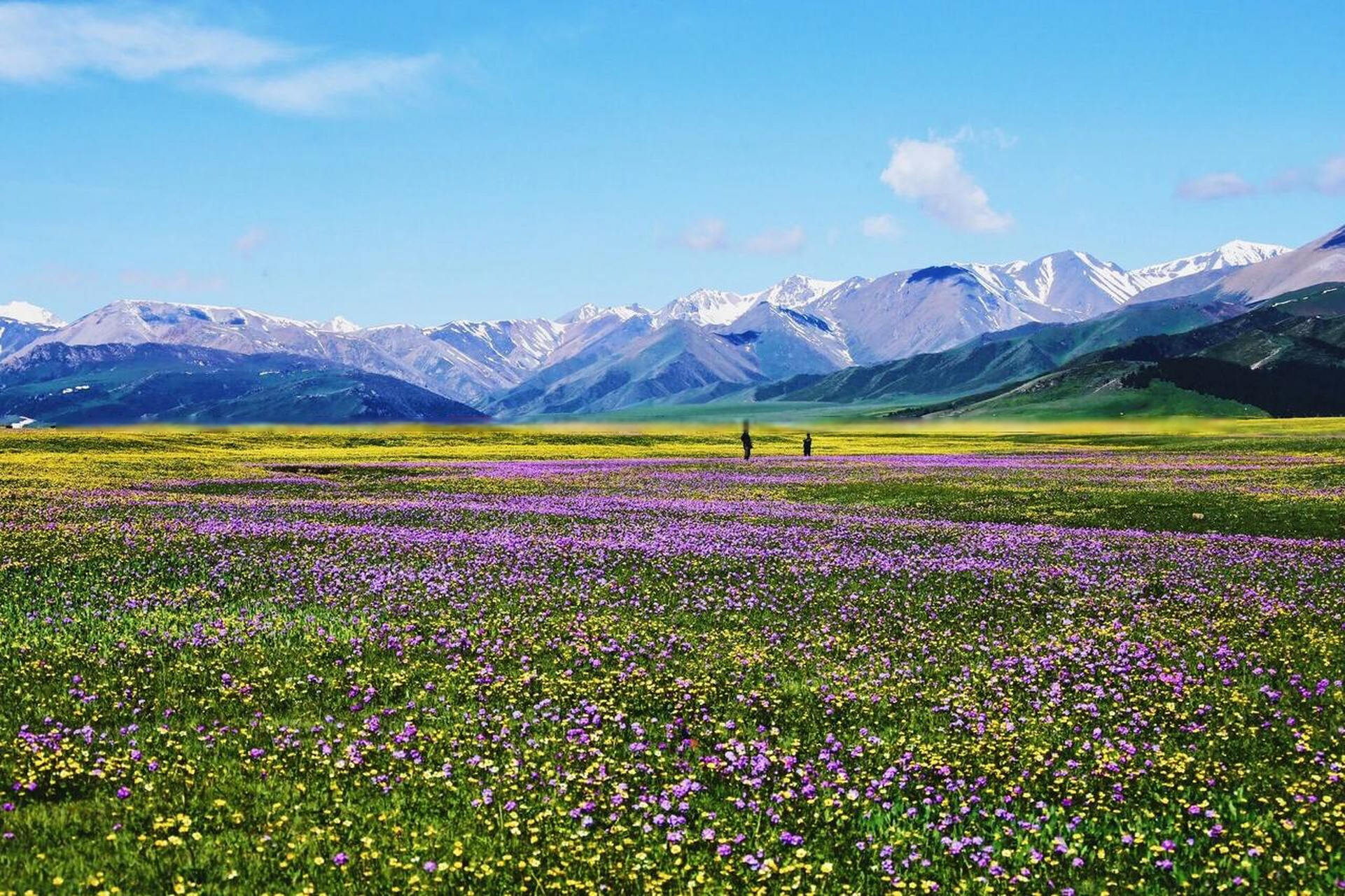 这里有四大草原,风光绝美,其中以那拉提草原最为壮观.