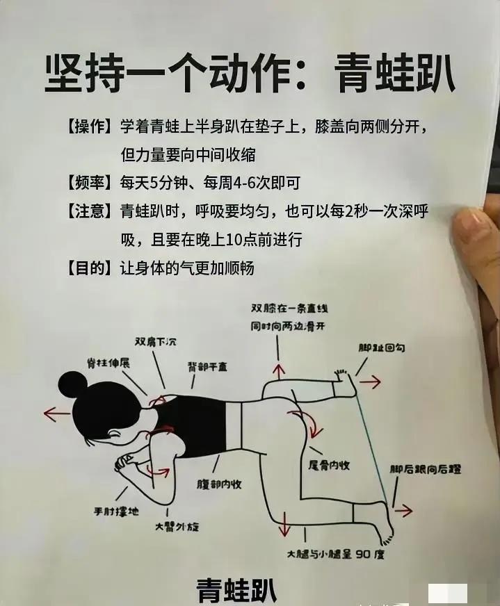 初学者练青蛙趴图片