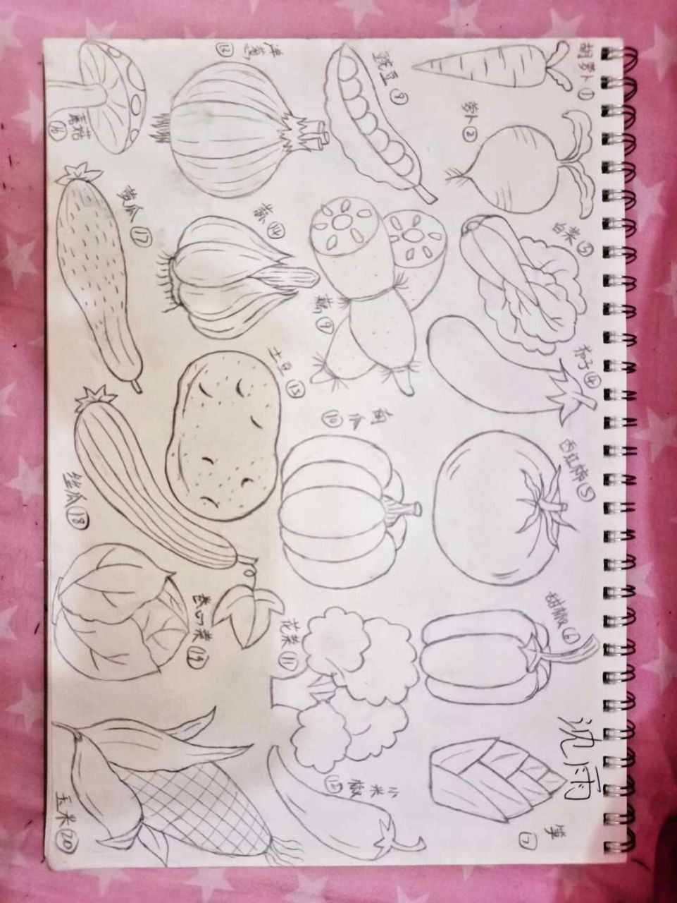 水果简笔画 蔬菜简笔画 水果简笔画20种 蔬菜简笔画20种