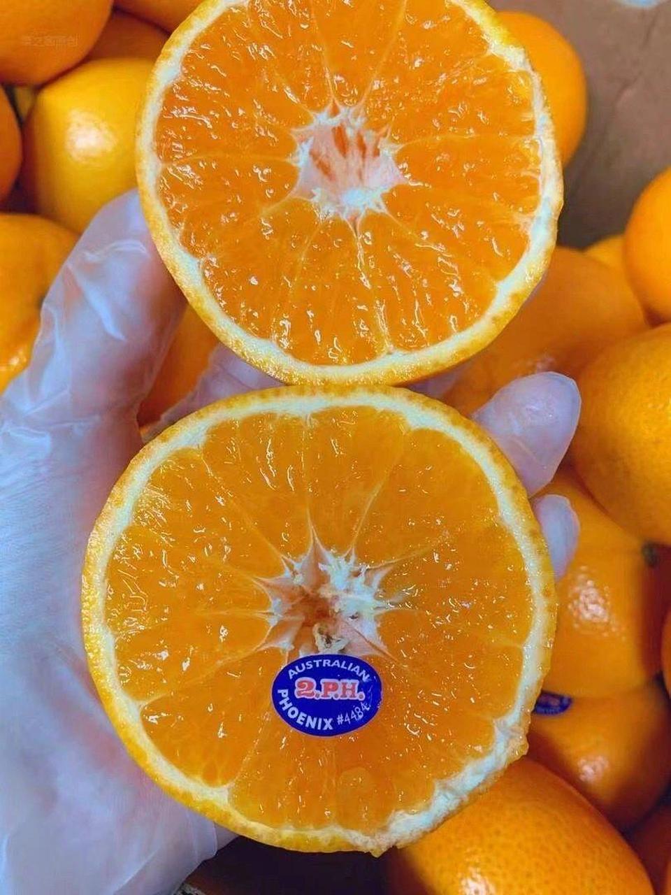 2ph澳橘上新 橘子届的天花板【2ph澳橘】绝对是秋天补水的不二之选