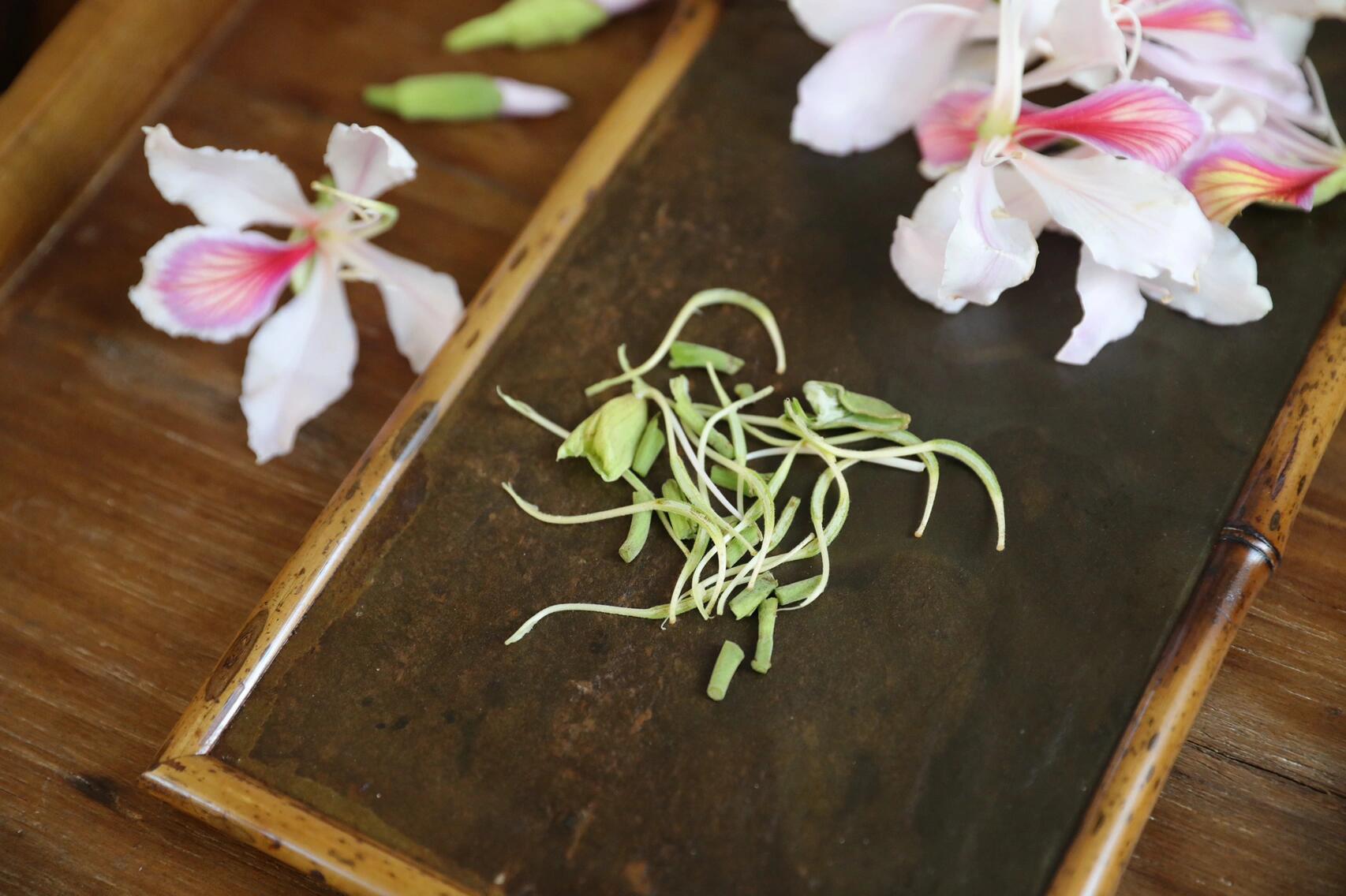 春之味——野花食馔·玉荷花  92云南百花之宴,数玉荷花(玉合花)高