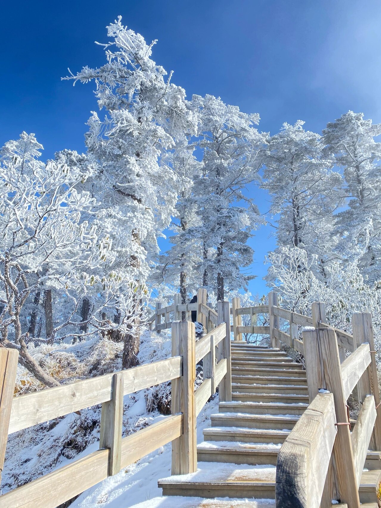 冬天的西岭雪山