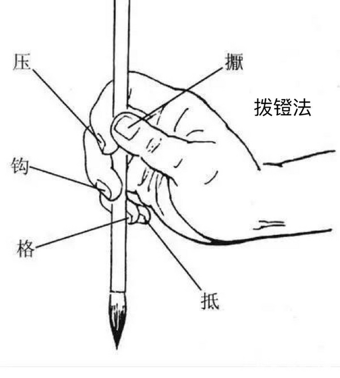毛笔的握法三种方法图片