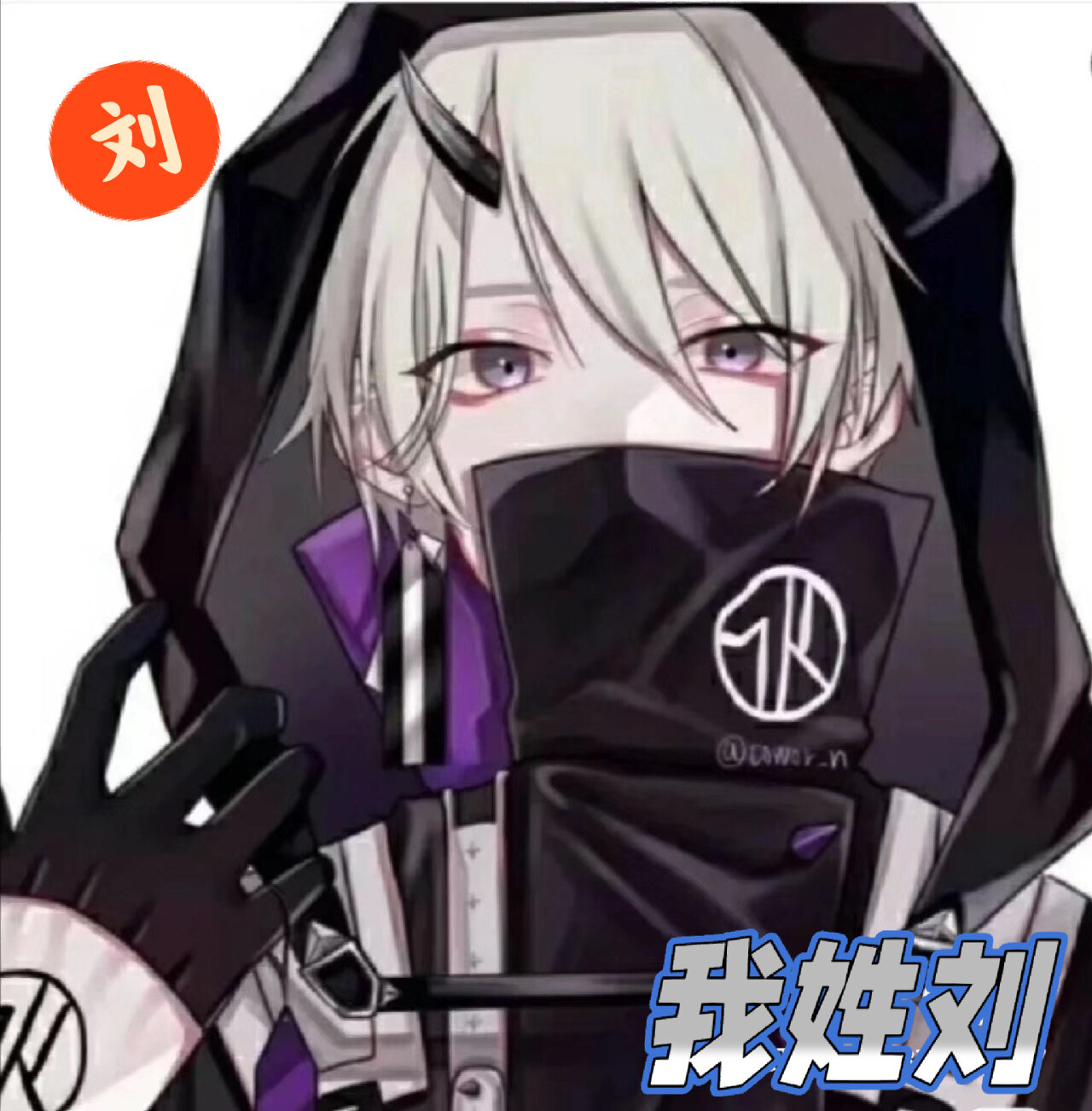 刘姓氏头像(男)不喜勿喷