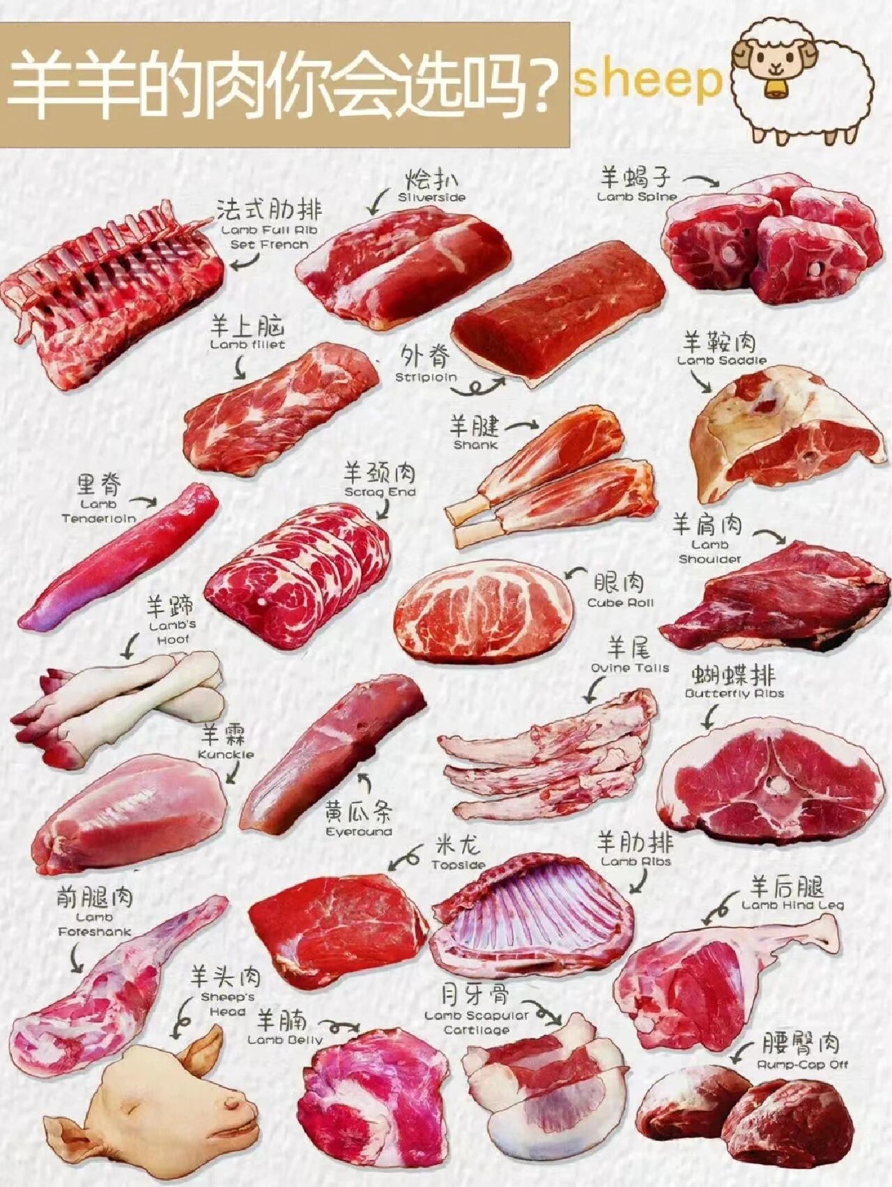 羊肉分割示意图