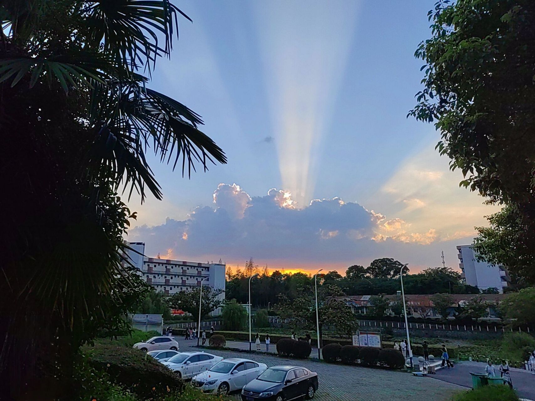 南京财经大学红山学院 新生在桥头校区