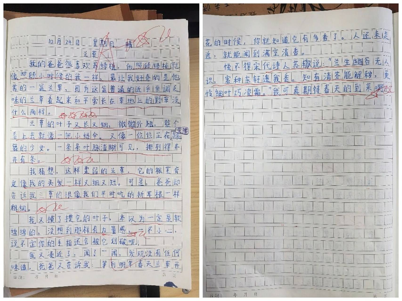 90三上《我眼中的缤纷世界》观察植物 #观察记录# #小学语文写作