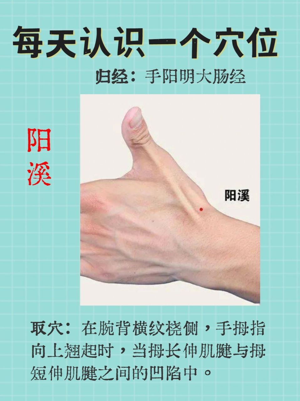 每天认识一个穴位-阳溪
