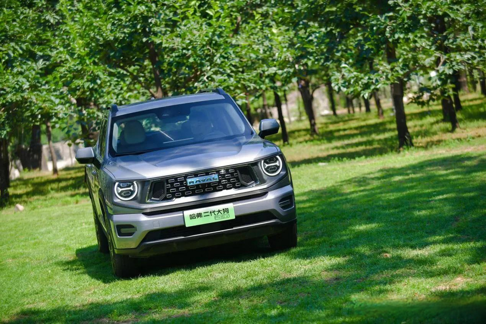 当咖啡,奶茶成为"续命神器",哈弗二代大狗phev助你实现精神内守!