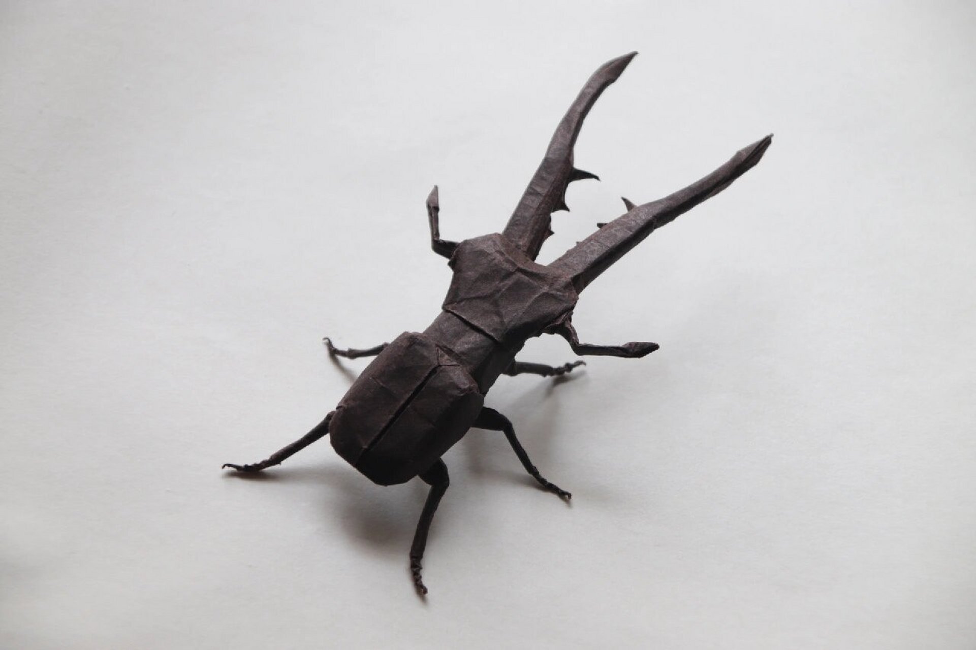 超逼真折纸锹甲!