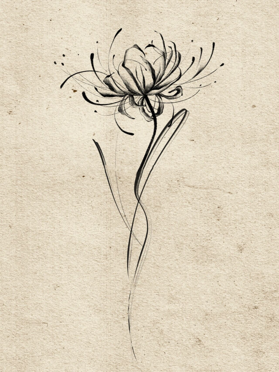 tattoo|彼岸花纹身|曼珠沙华 "每个人都有属于自己的彼岸花" 7515