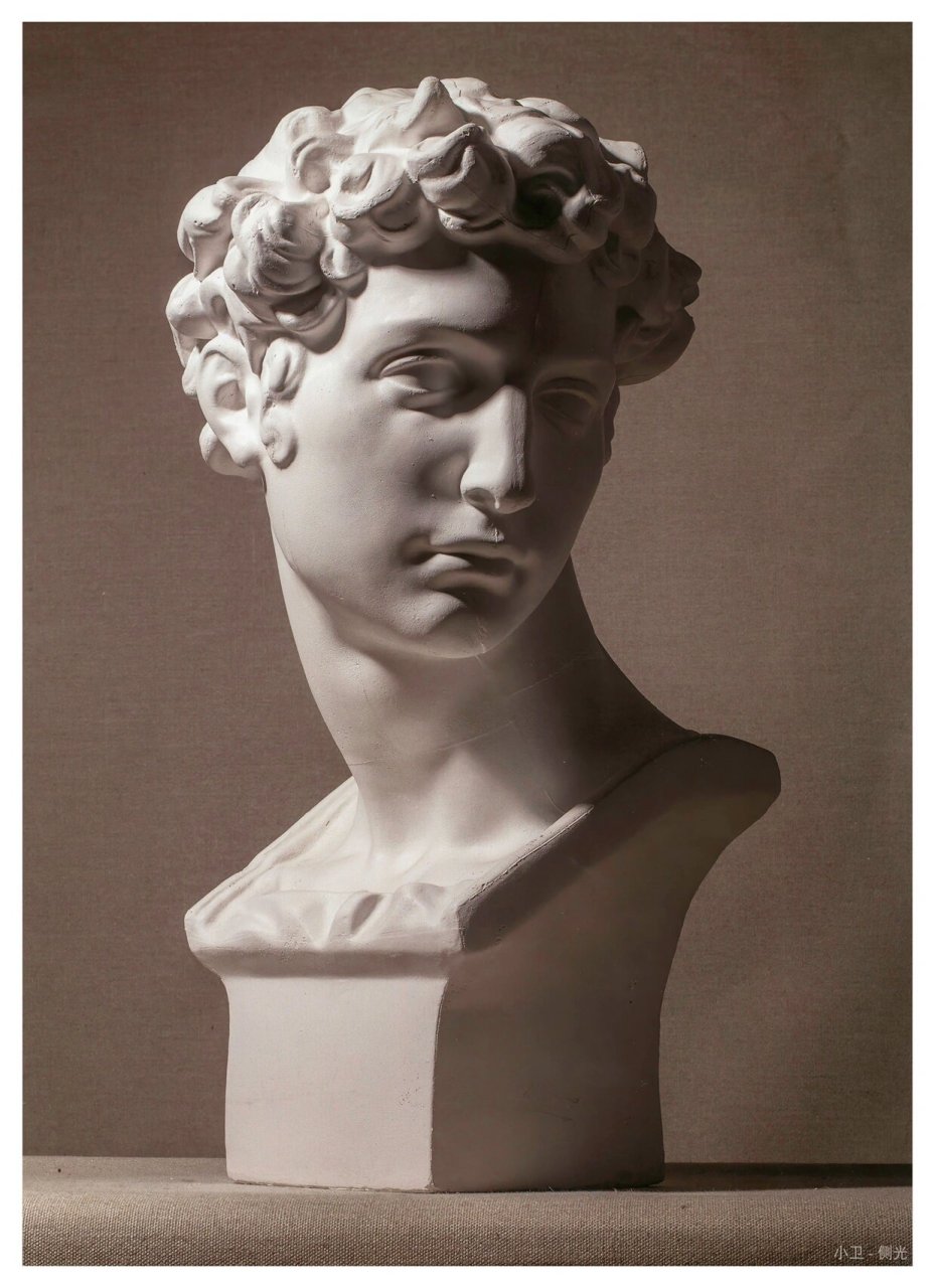"小卫"朱利亚诺·美第奇石膏像 小卫各个角度石膏像 素描必画