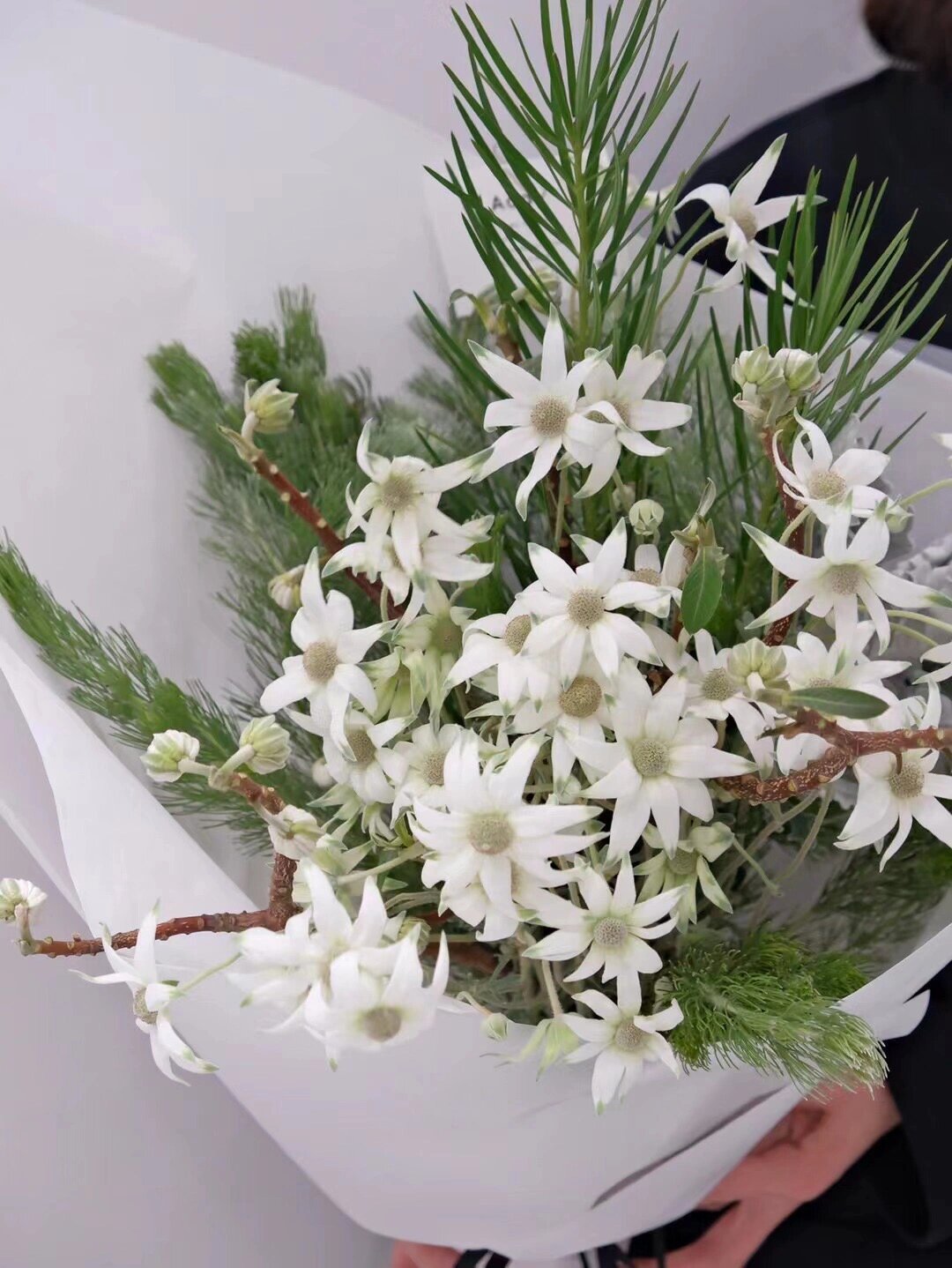 是奥地利国花,象征着勇敢. 因其植